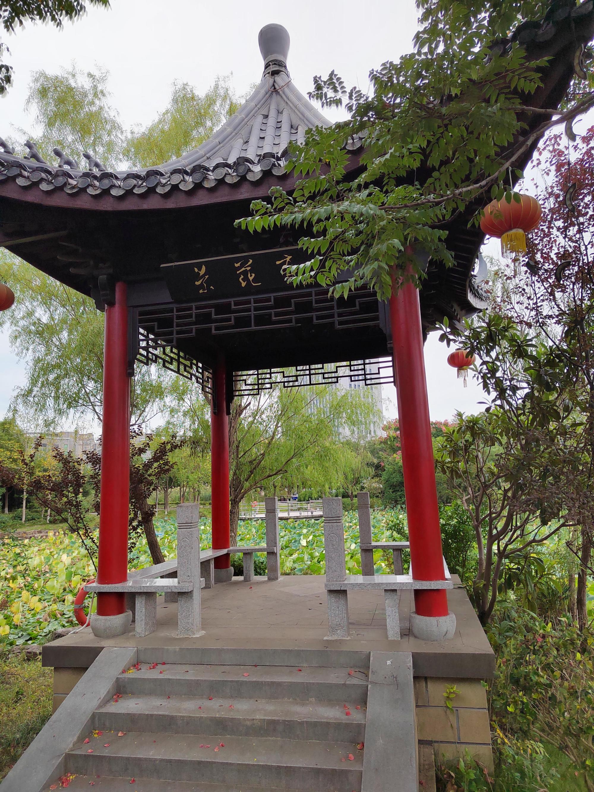城南新区的世纪公园七亭 城南新区的世纪公园有七个凉亭,构造精巧