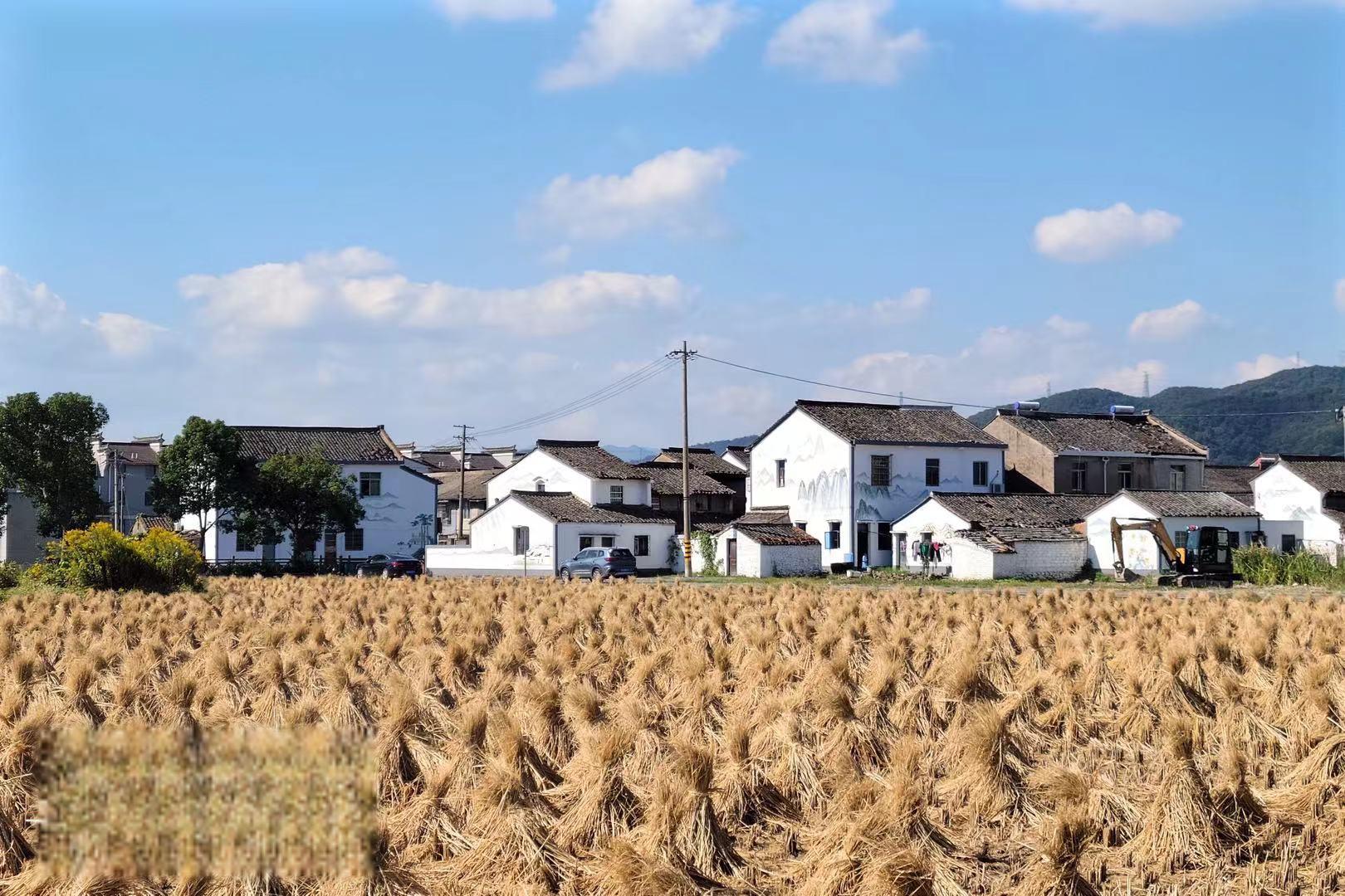 茂新村,一个值得一游的旅游乡村 茂新村是宁波市海曙区古林镇下辖的