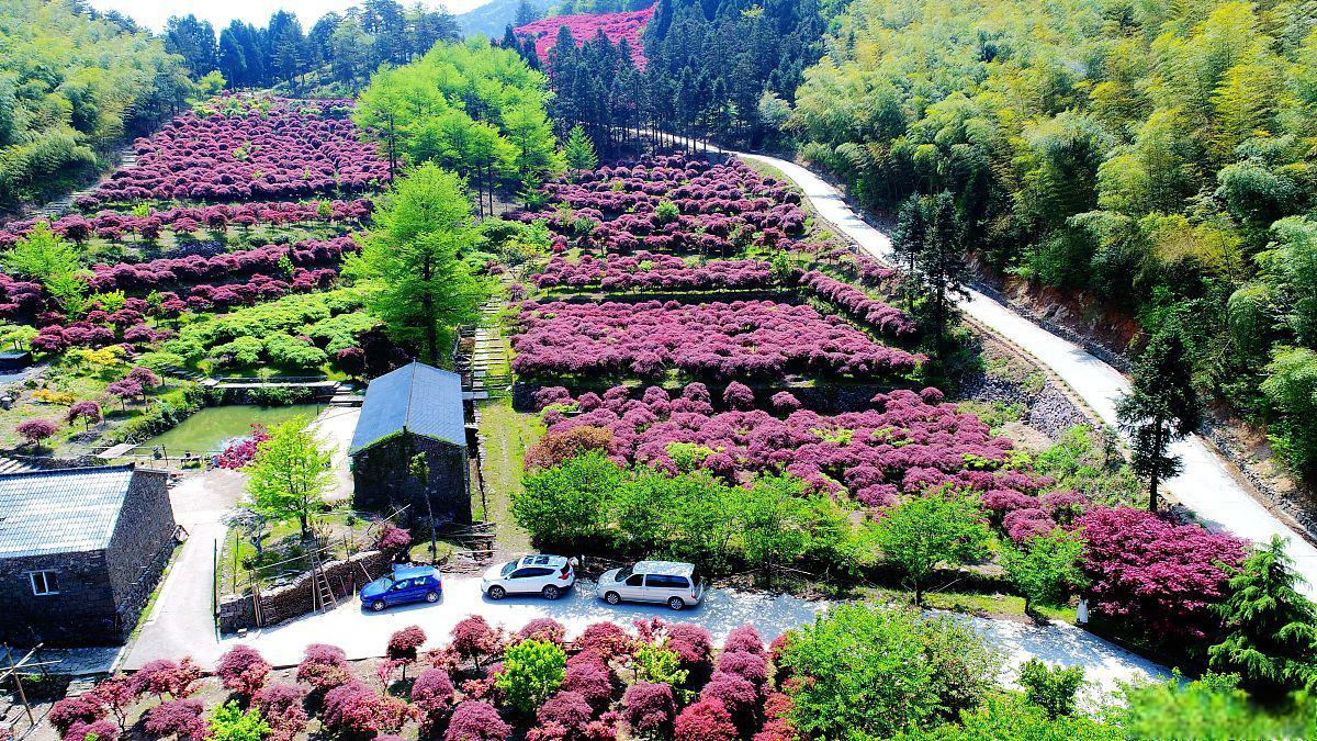 桂东县旅游景点推荐 桂东县,一个隐藏在湖南郴州深山之中的宝藏之地