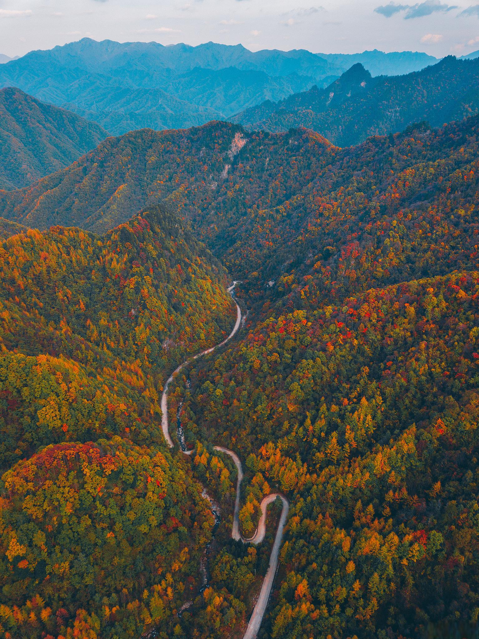 秦岭旅游攻略 秋天去秦岭旅游需要注意什么?