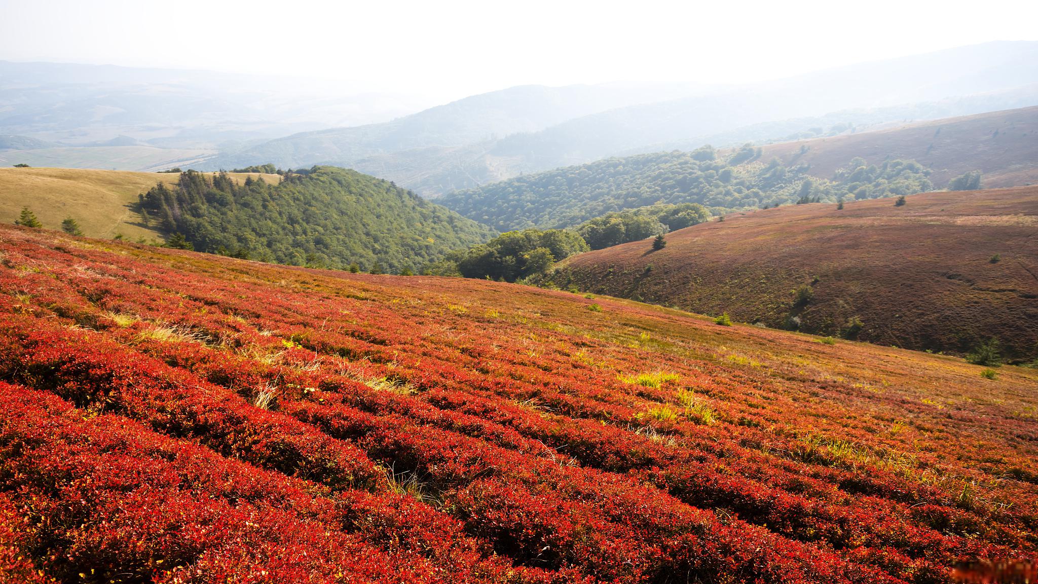 四川攀枝花风景图片