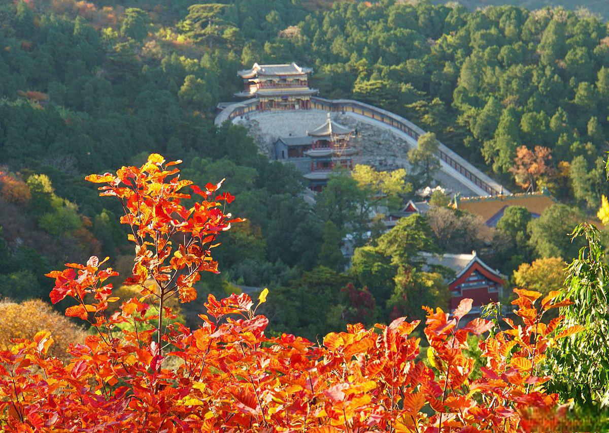 北京香山公园游玩图片