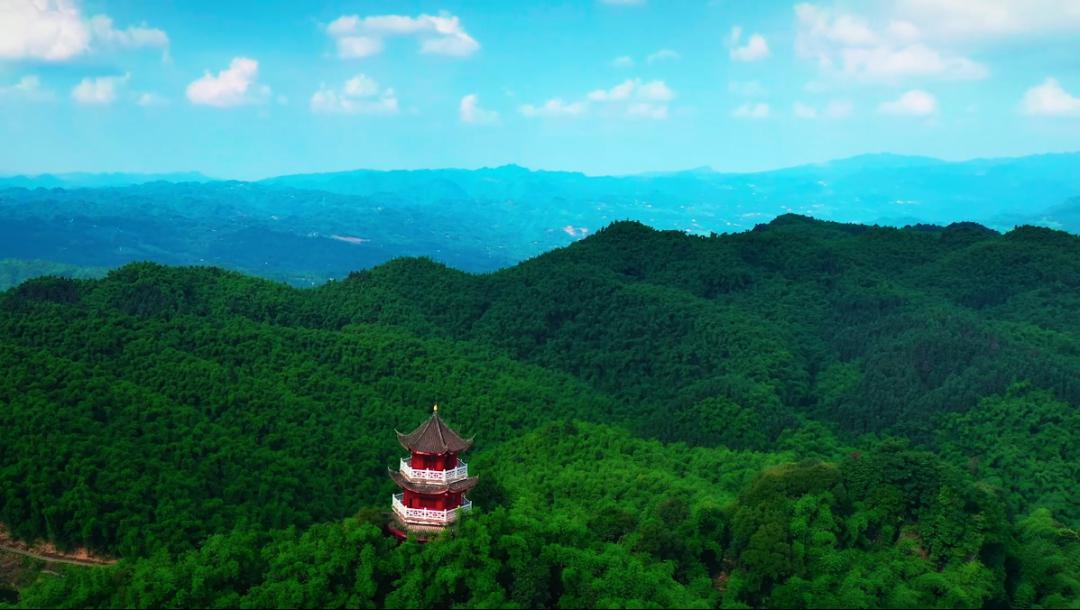 生态沐川,绿色海洋康养胜地 这里风景秀丽,空气清新,森林覆盖率达77