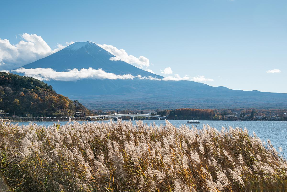 探寻美丽与自然的融合 北海道,位于日本北部,是一个充满自然美景和