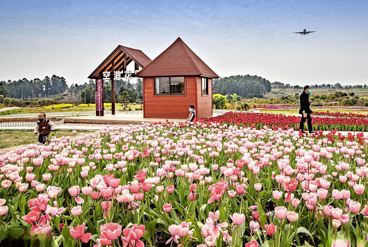 三圣花乡观光旅游区 中国的旅游.@旅游圈卢哥的动态