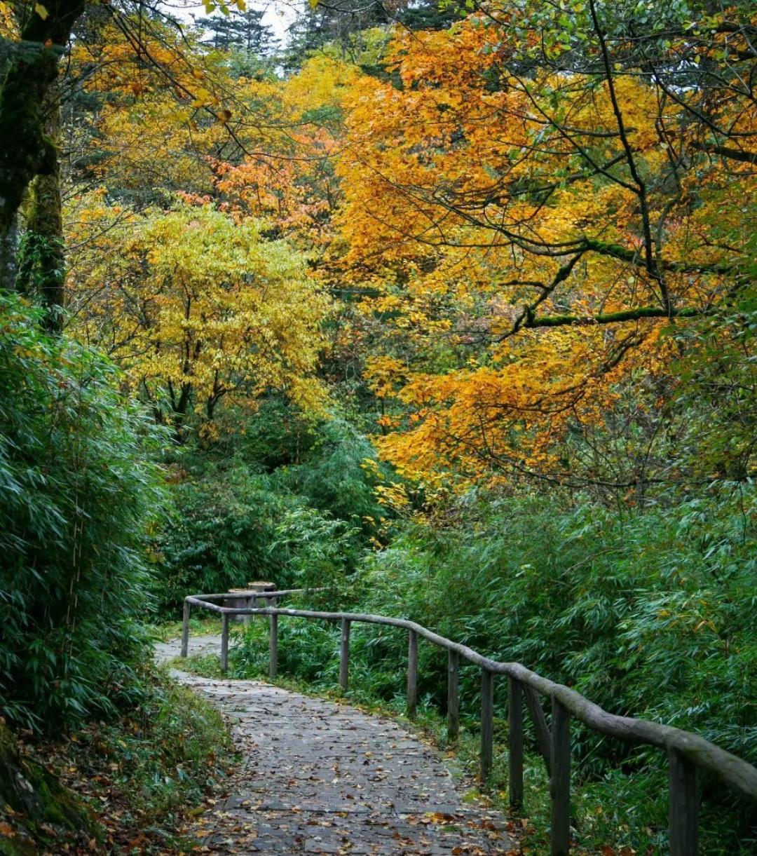 峨眉山秋意,如诗如画 峨眉山,秋意盎然,如诗如画.