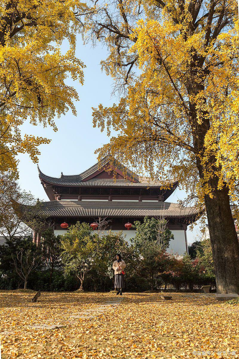 大金山禅寺秋天的魅力 大金山禅寺,就是这样一个能让我们远离喧嚣
