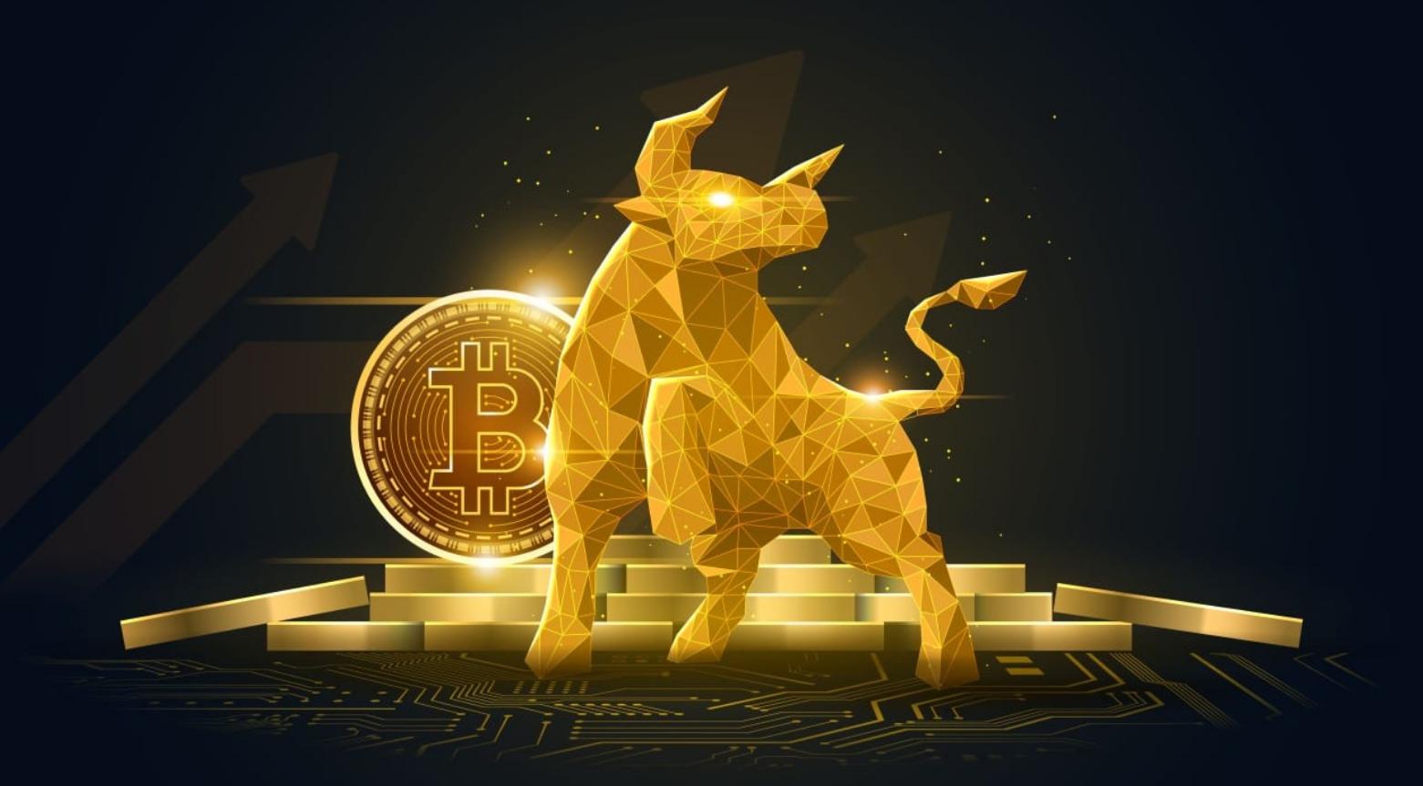 5万美元的大规模看涨反弹,预计未来几个月比特币