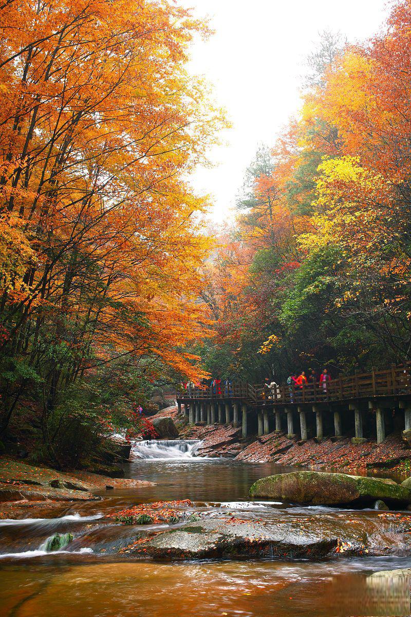 泸山秋季六处醉美景点 泸山,位于中国四川省,以其秀美的山景和秋季的