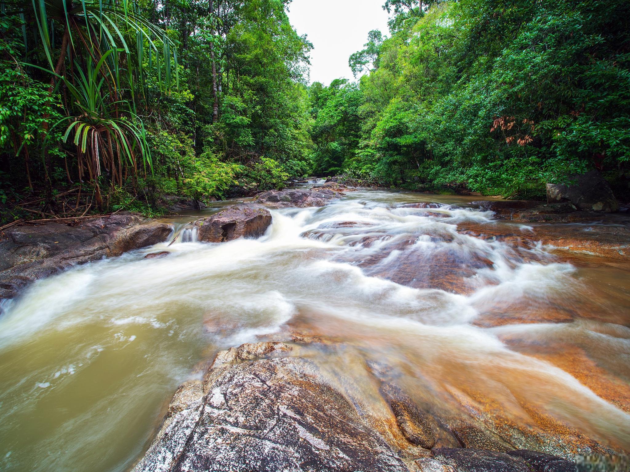 景区聚集了丰富的自然景色和诱人的美食,能够为你提供夜笾百车河图片