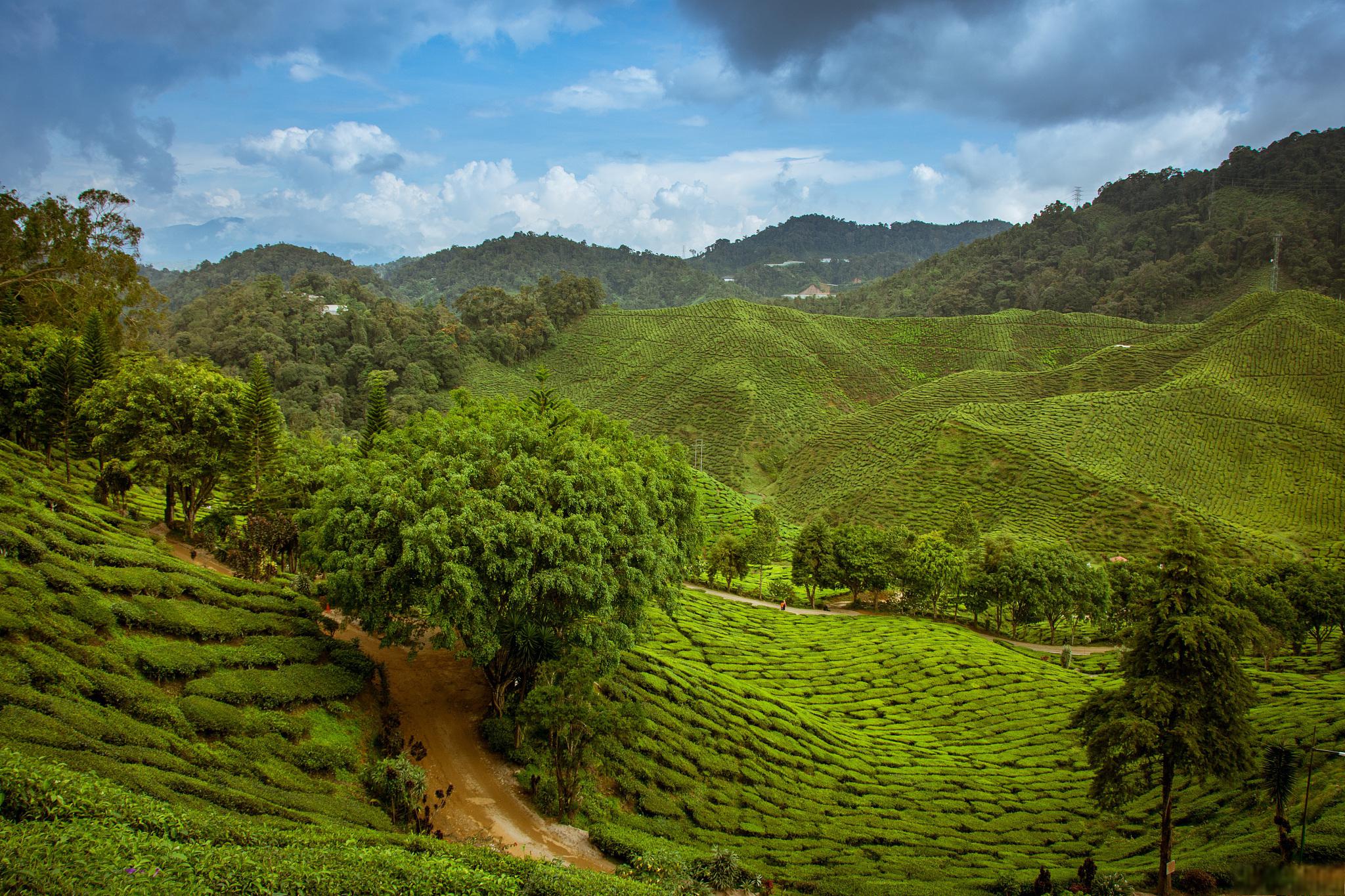 西双版纳旅游景点介绍 云南省西双版纳傣族自治州是一座美丽的旅游