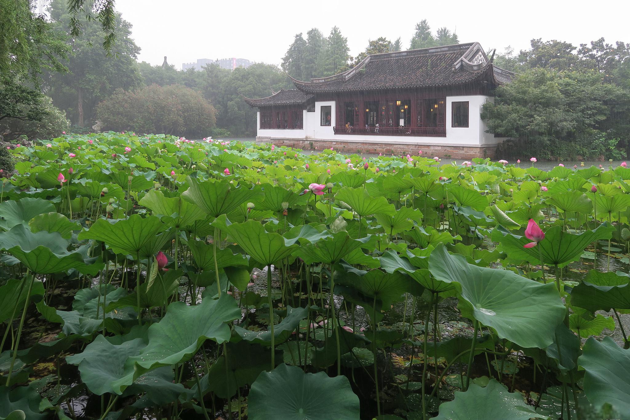 湖州莲花庄小区图片