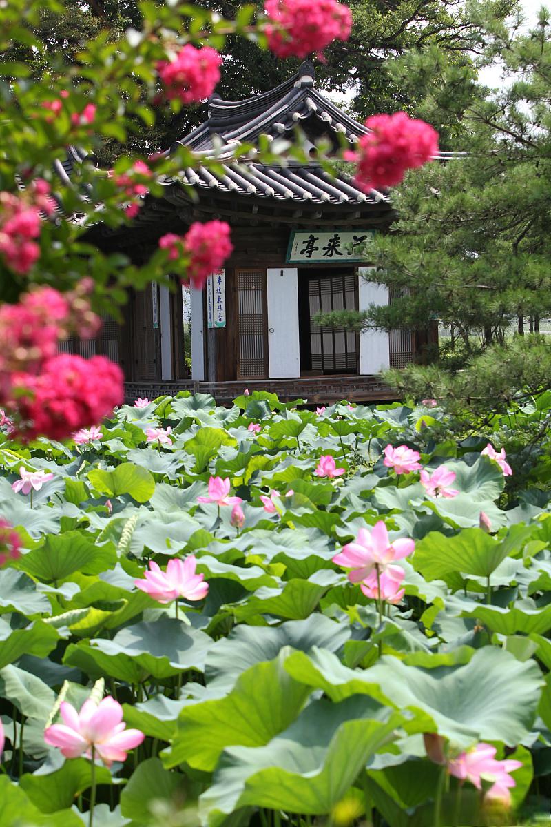 湖州莲花庄小区图片