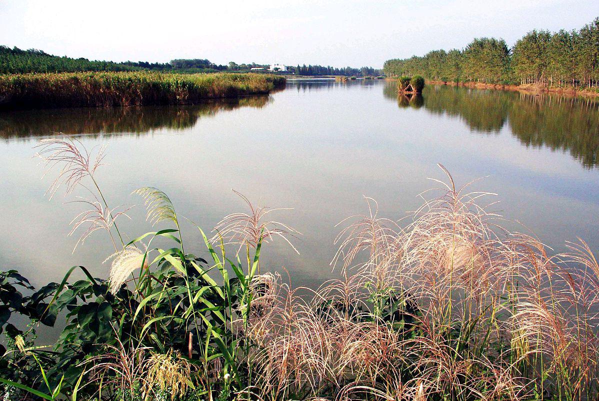 泗洪洪泽湖湿地公园 泗洪洪泽湖湿地公园,位于江苏省宿迁市泗洪县东