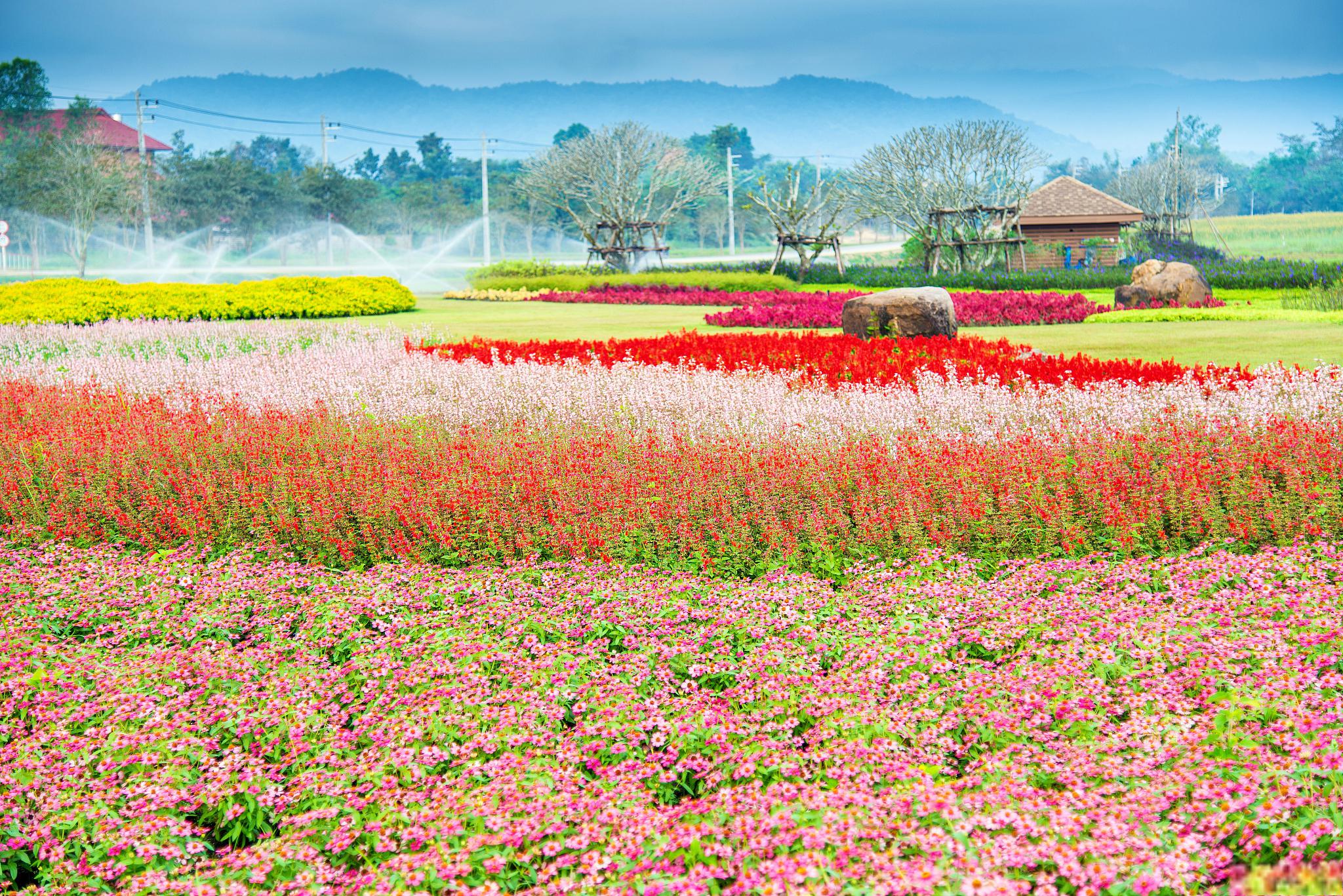 花舞人间旅游景区 四川成都,被誉为#天府之国#,以其美食,历史和文化而
