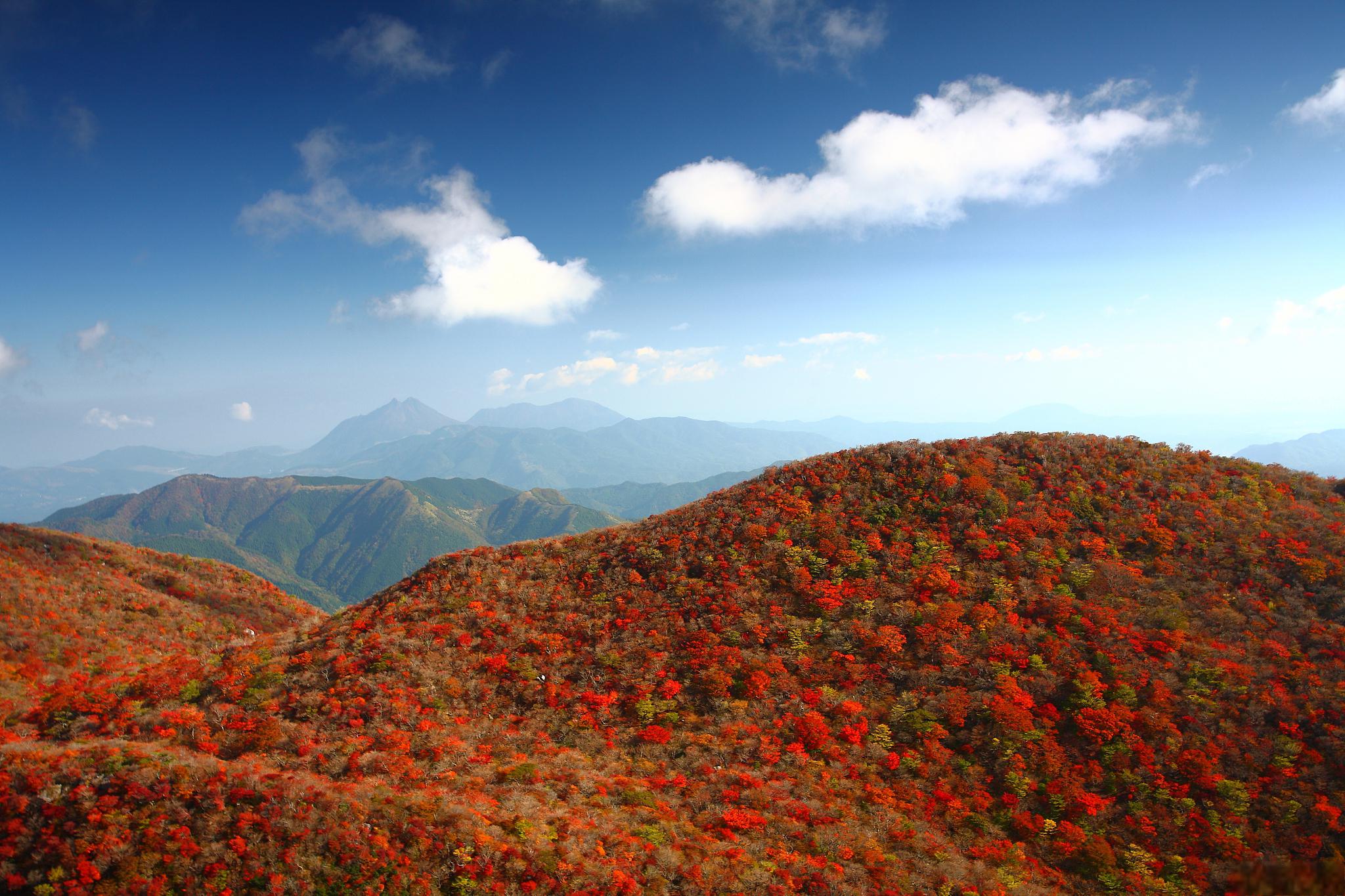 武功山秋景图片