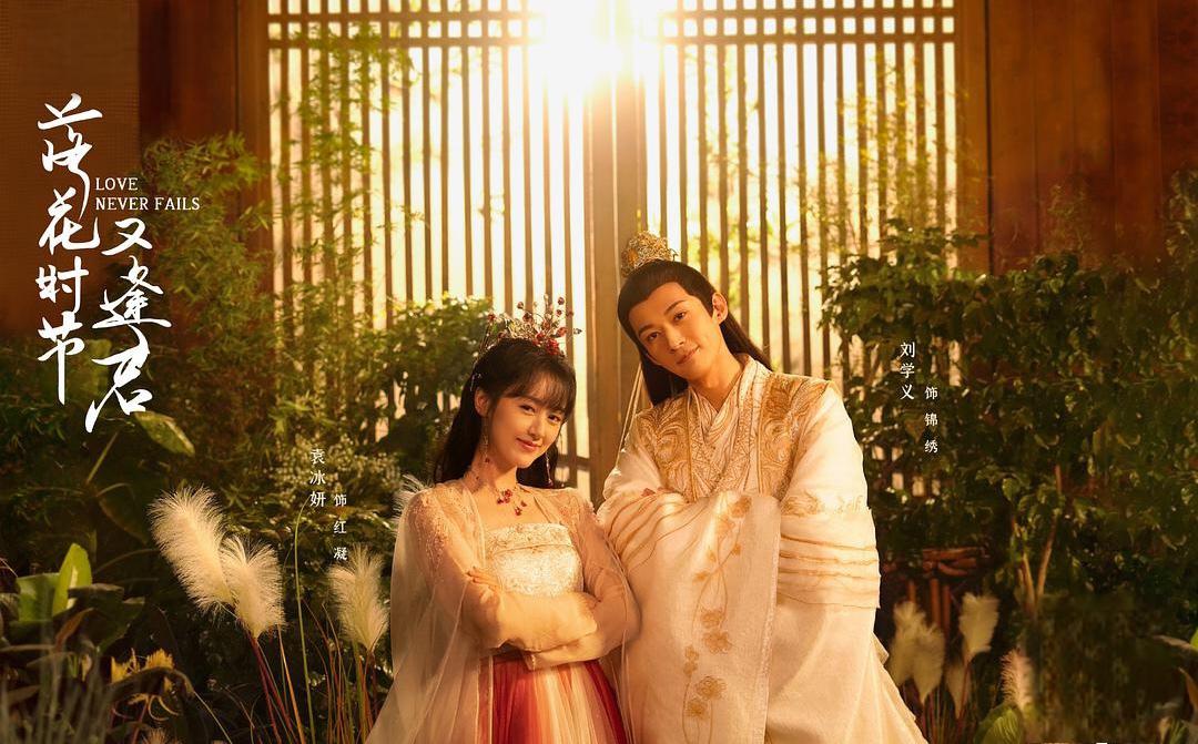 女星袁冰妍偷逃税被追缴并罚款297万,多部剧受影响 袁冰妍涉税被罚款