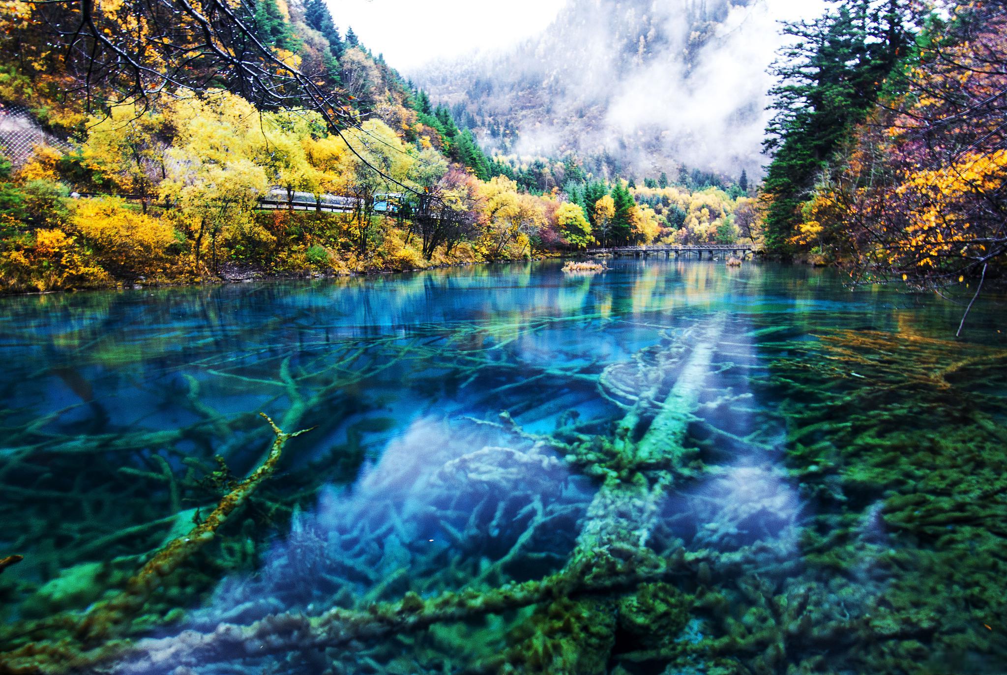 五月份去九寨沟旅游攻略 九寨沟位于四川省阿坝藏族羌族自治州,是中国