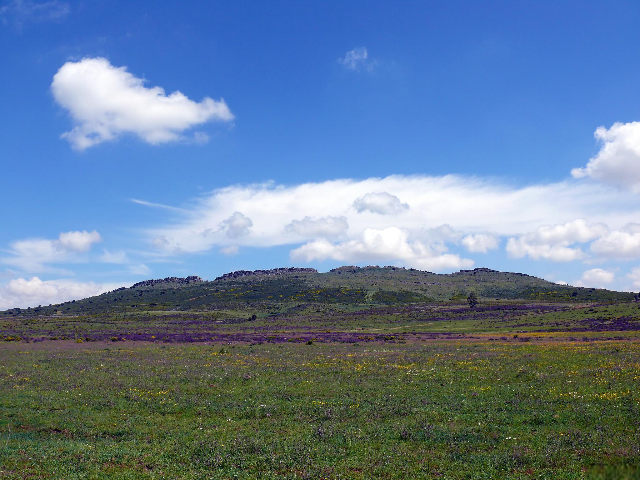 四川攀枝花风景图片