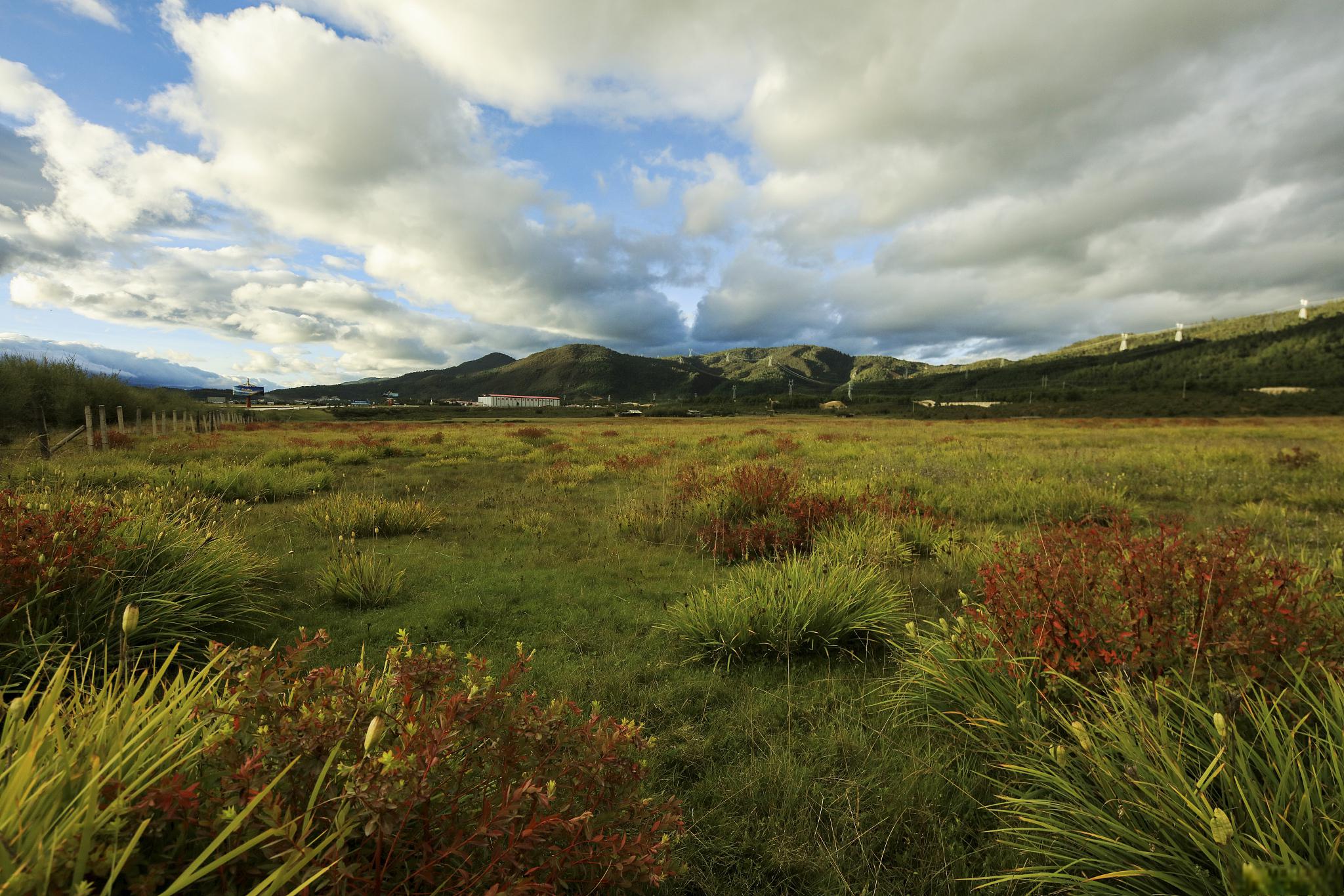 四川攀枝花格萨拉日都尼西草原旅游攻略 四川攀枝花格萨拉日都尼西