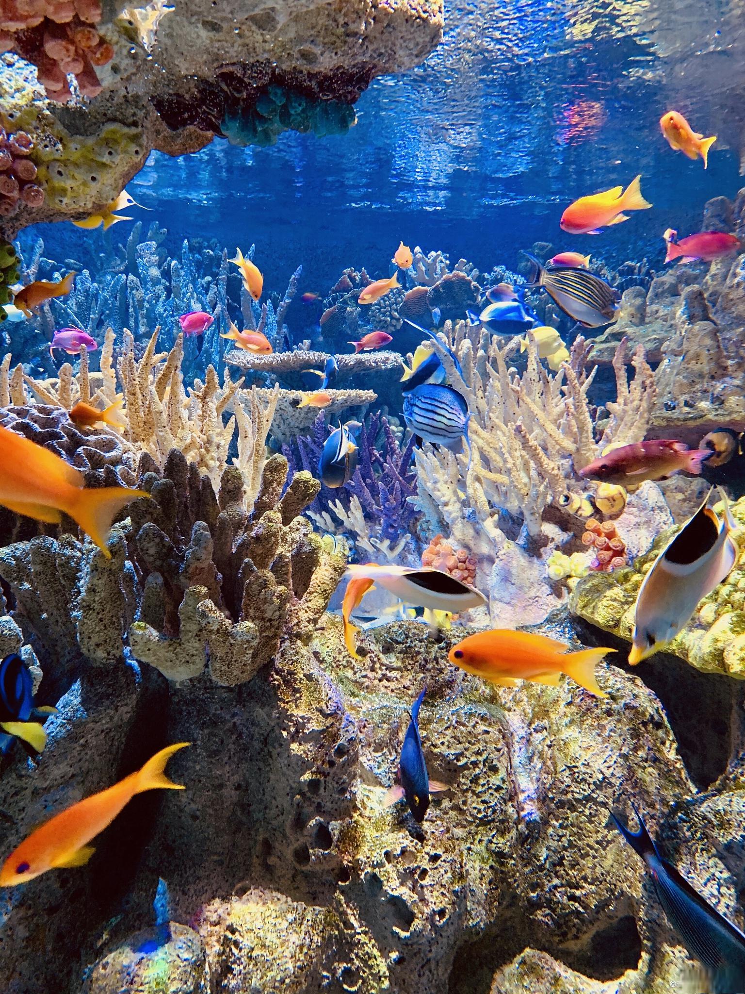 三亚旅游攻略 三亚是中国海南省的一个城市,被誉为"东方夏威夷",是