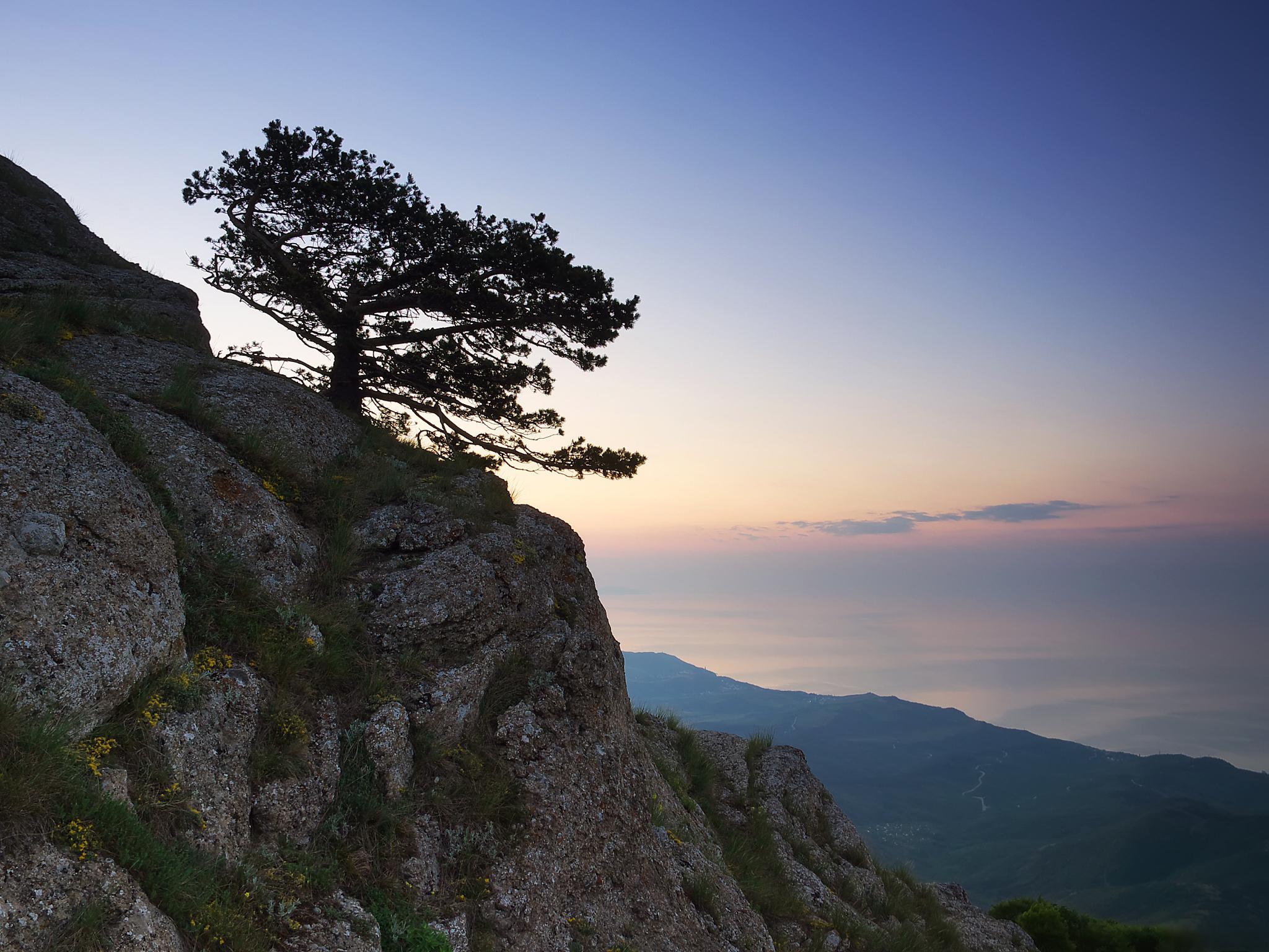 庐山云雾茶的独特魅力 庐山云雾茶是中国江西庐山特产的一种名茶,以其