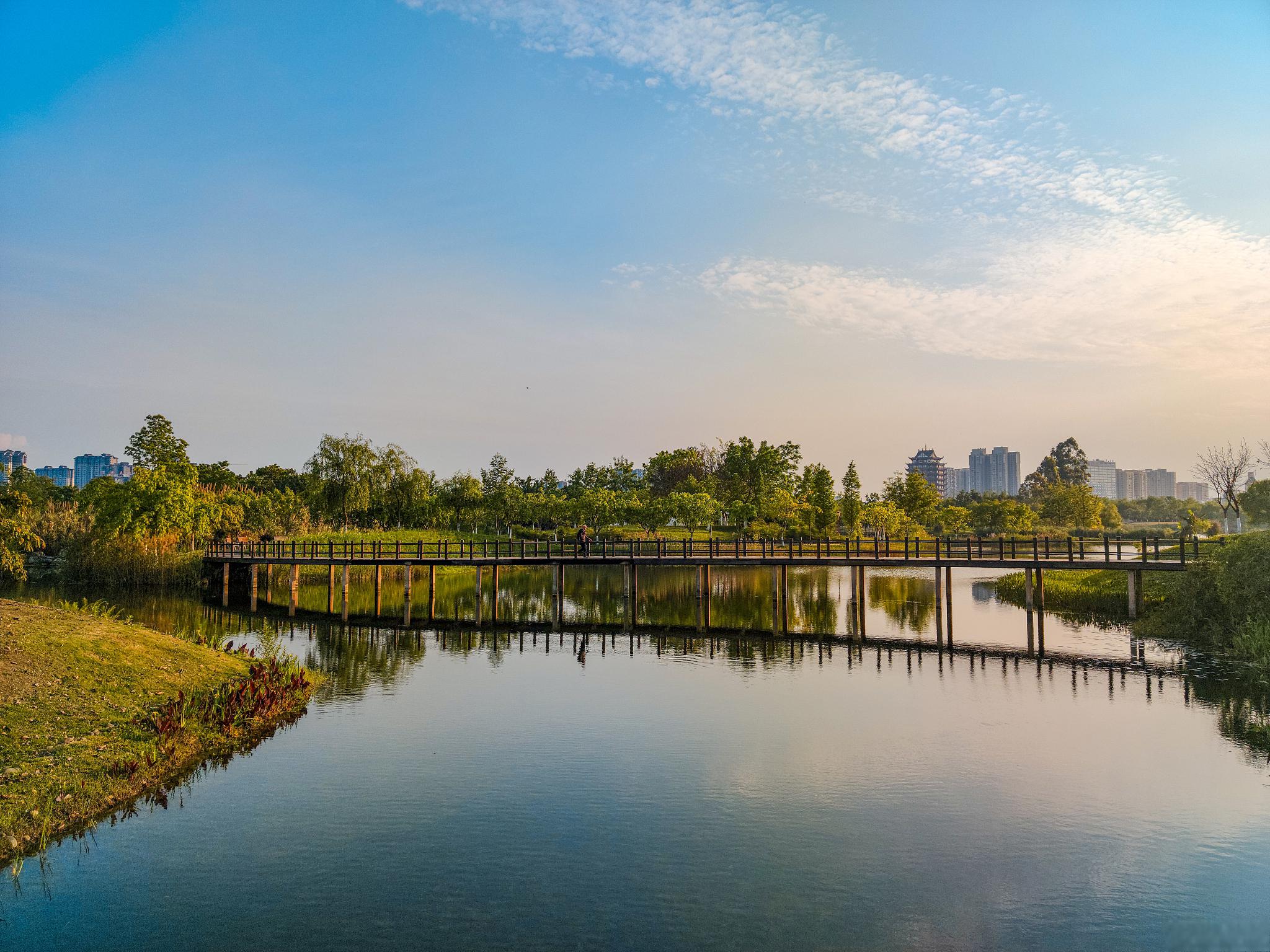 五里湖湿地公园:自然的瑰宝,都市的绿肺 在繁华的都市中,隐藏着一处