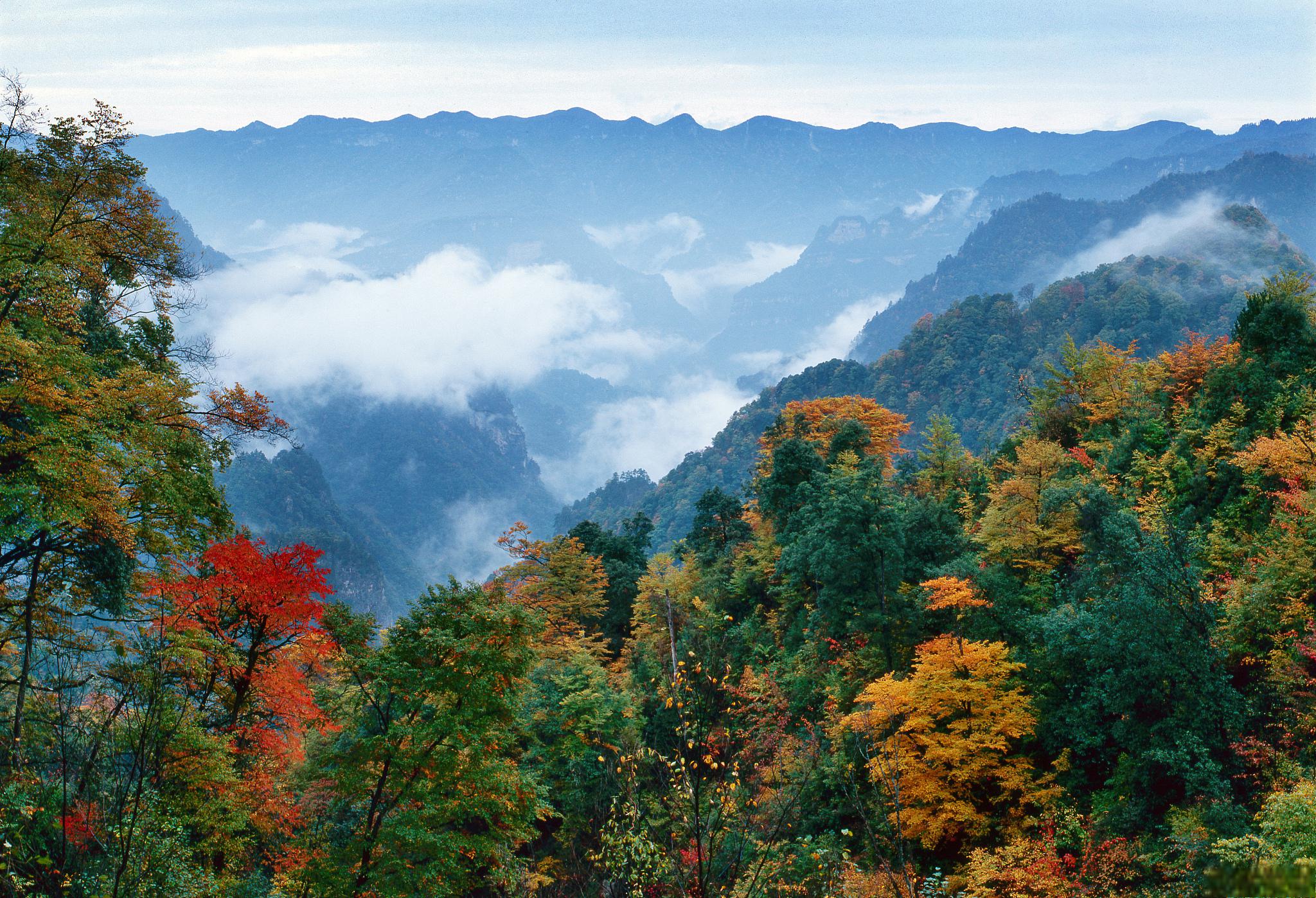 四川光雾山:5a景区 光雾山位于四川省巴中市南江县北部,是川陕两省的