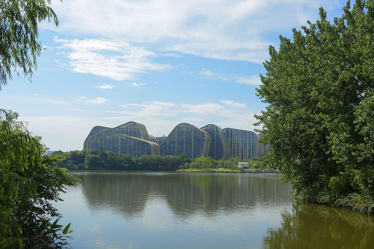 杭州白马湖公园:花海与露营的完美结合 在杭州,有一个被人们称为"宝藏
