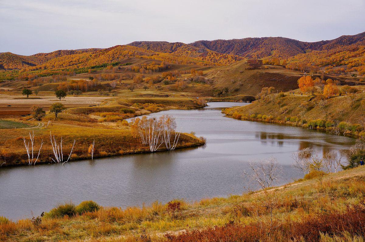 这片著名的草原位于内蒙古自治区锡林郭勒盟西部,是中国北方最具代表