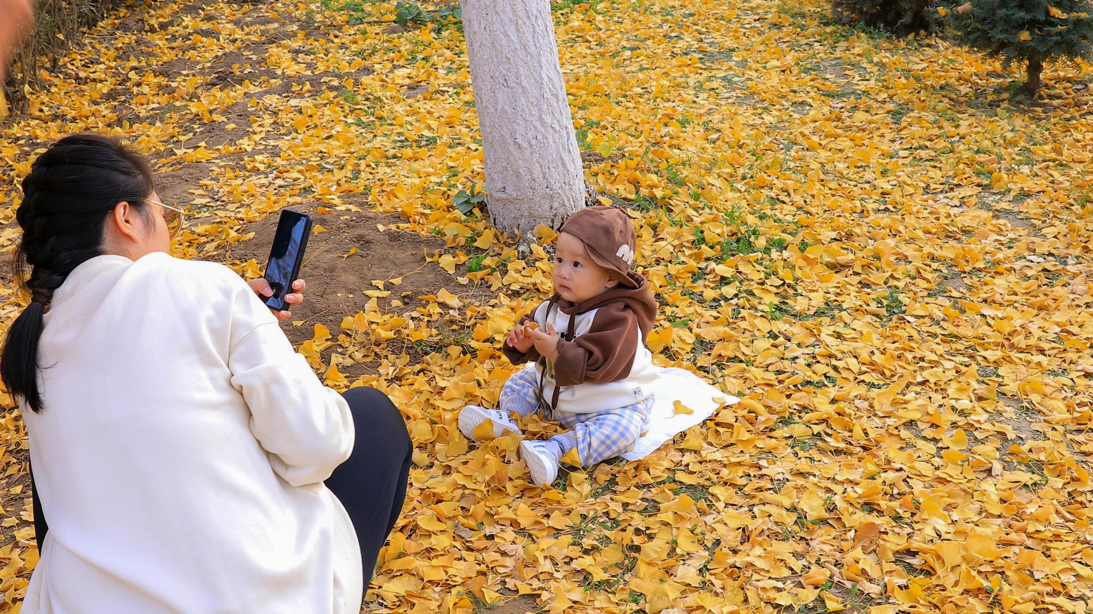 辽阳太子区王家镇前河洪堡村银杏叶拍照打卡好去处 如果说秋风给了