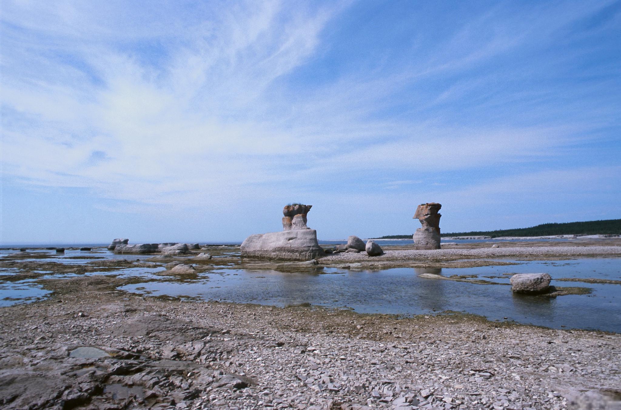 东营海滩景点图片