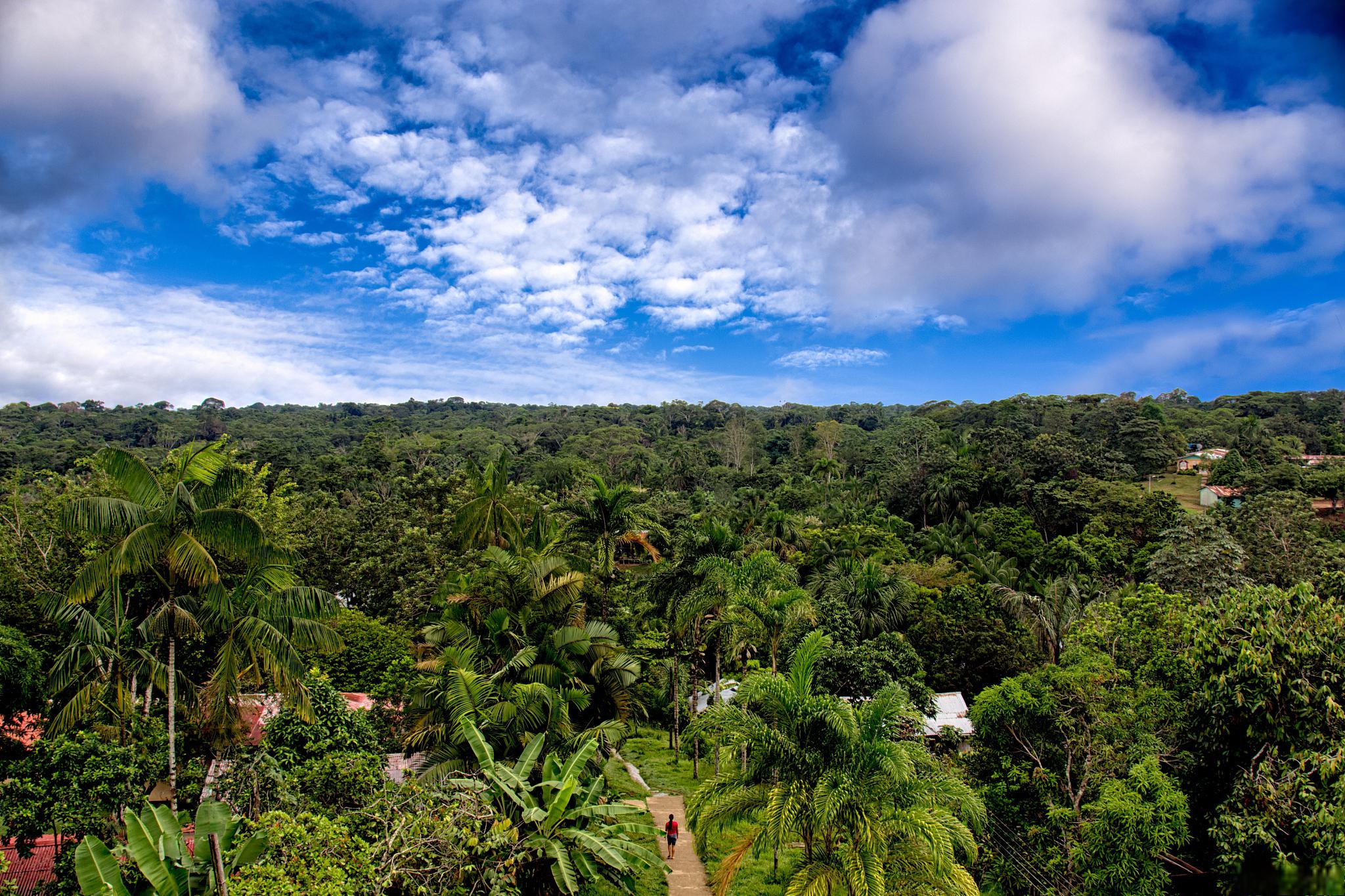 哥斯达黎加风土人情详细介绍 哥斯达黎加位于中美洲,是一个拥有美丽