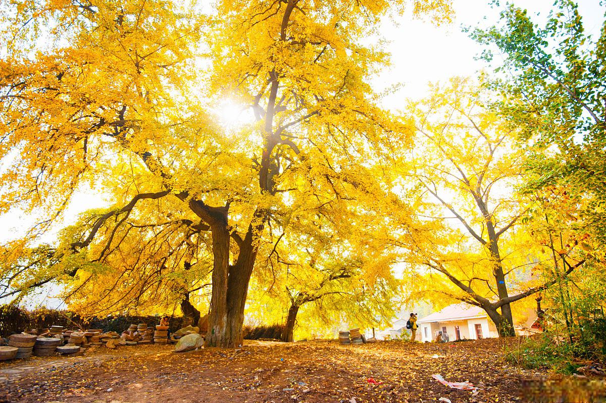 丹棱县旅游景点推荐 丹棱县位于四川省眉山市西南部,是一个有着悠久