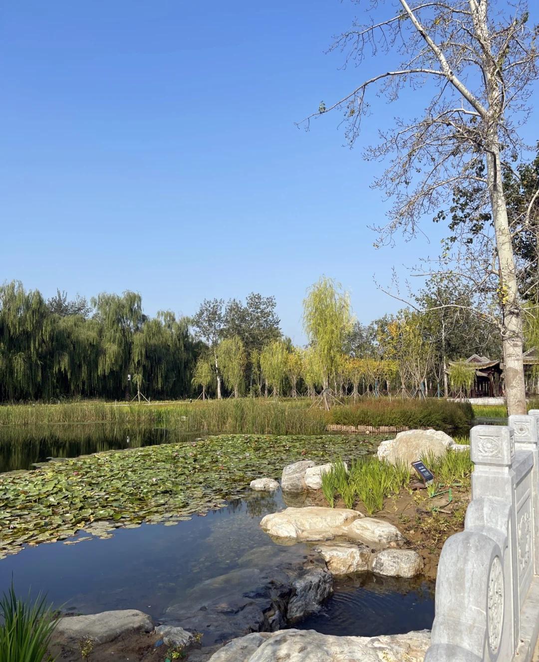 北京西郊的美丽风景 北京西郊素有得天独厚的自然风貌,那里有着宜人的