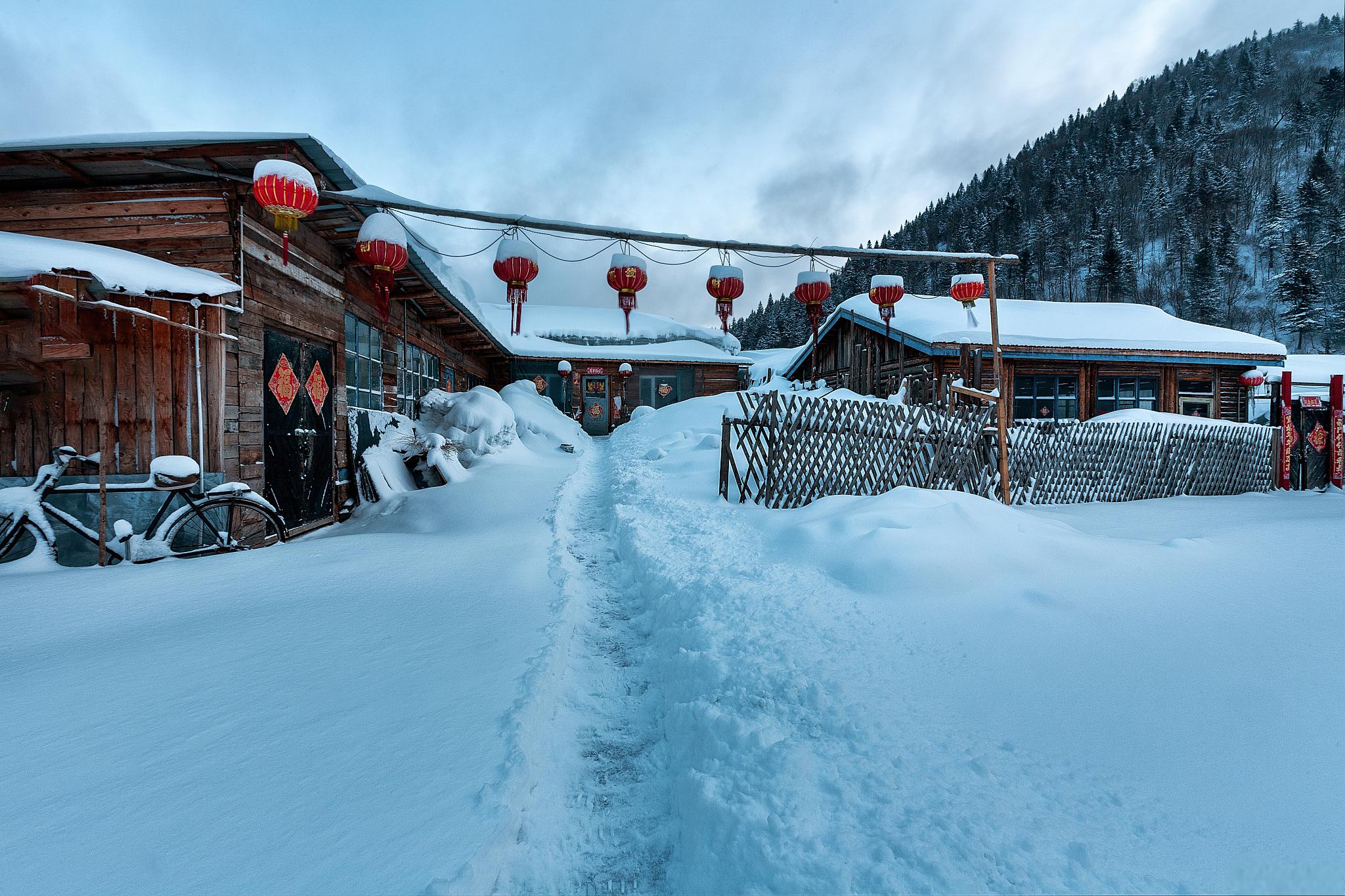 哈尔滨雪乡旅游攻略 如果你计划到中国东北的哈尔滨和雪乡旅游,那么这