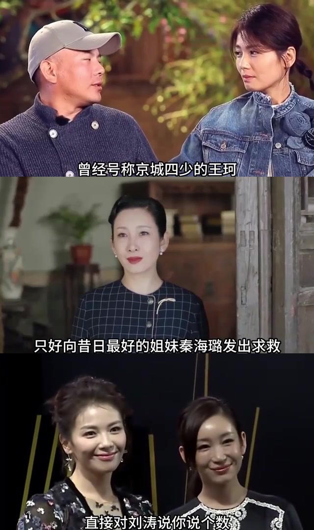 秦海璐说张馨月矫情图片