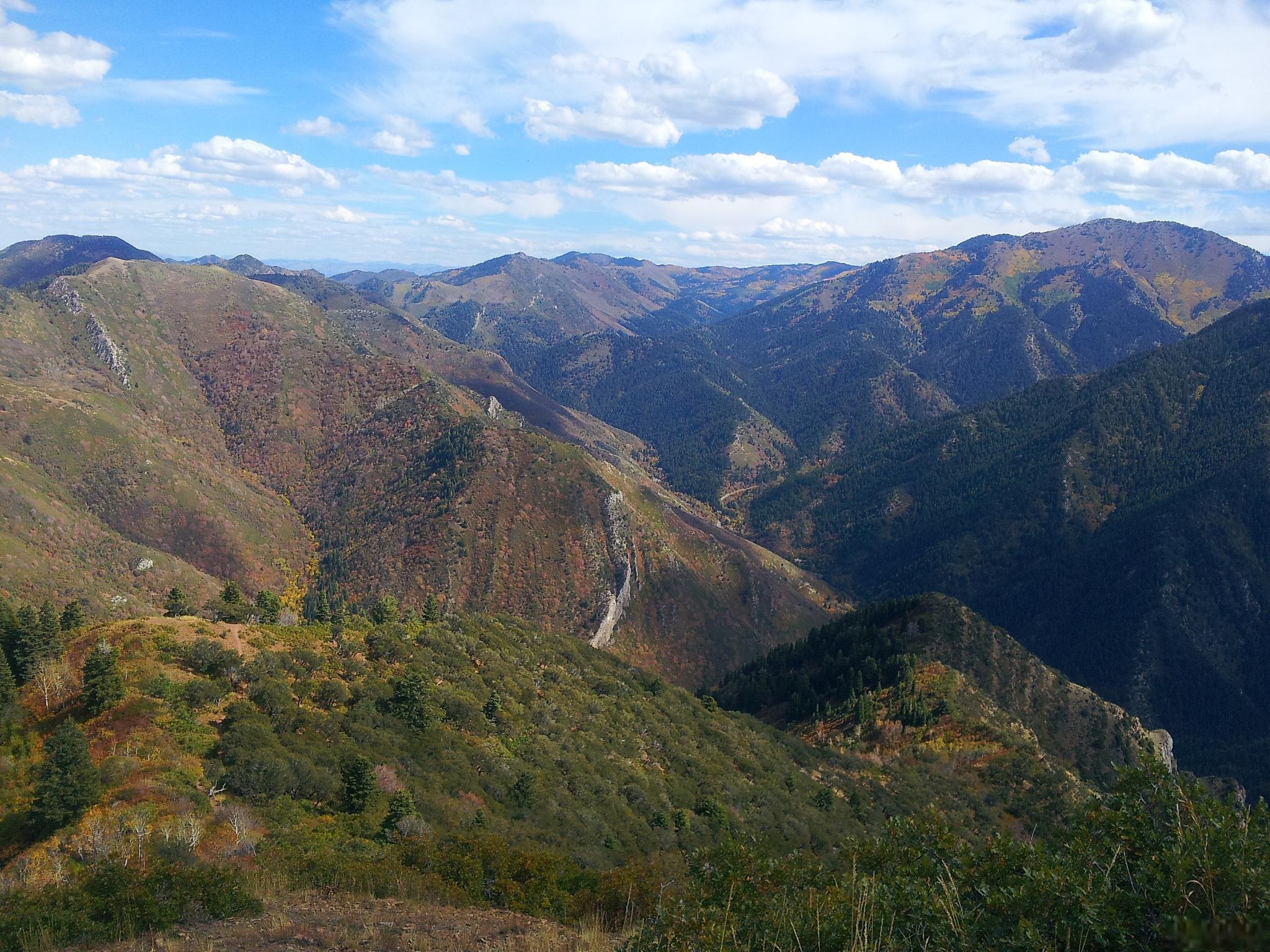 连绵起伏的山岭图片