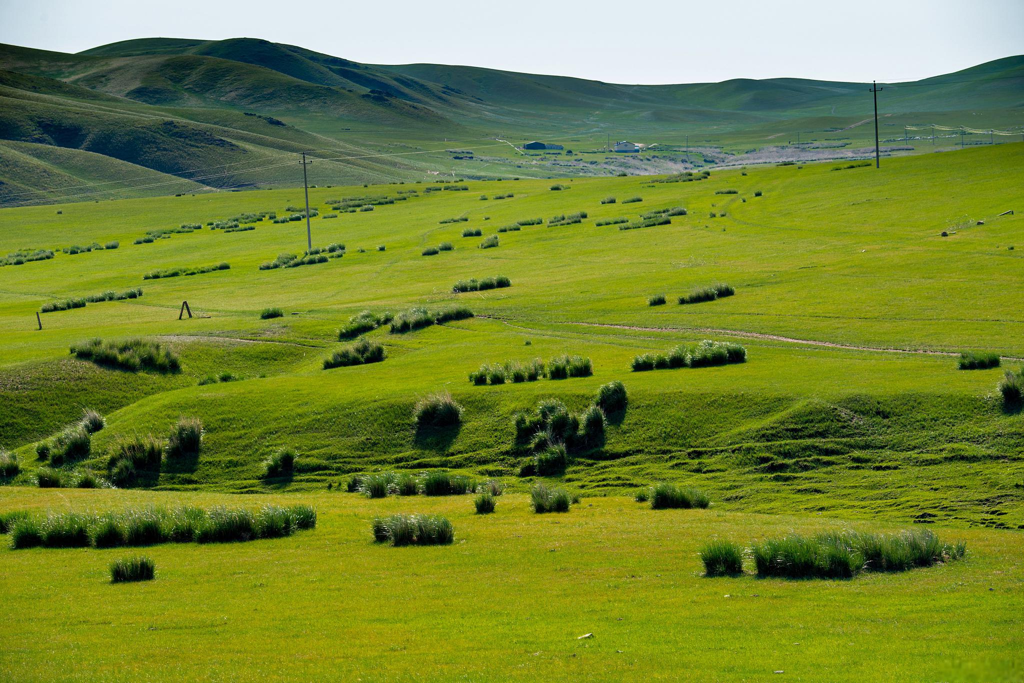 内蒙古大草原深处的格根塔拉草原 位于内蒙古大草原深处的格根塔拉