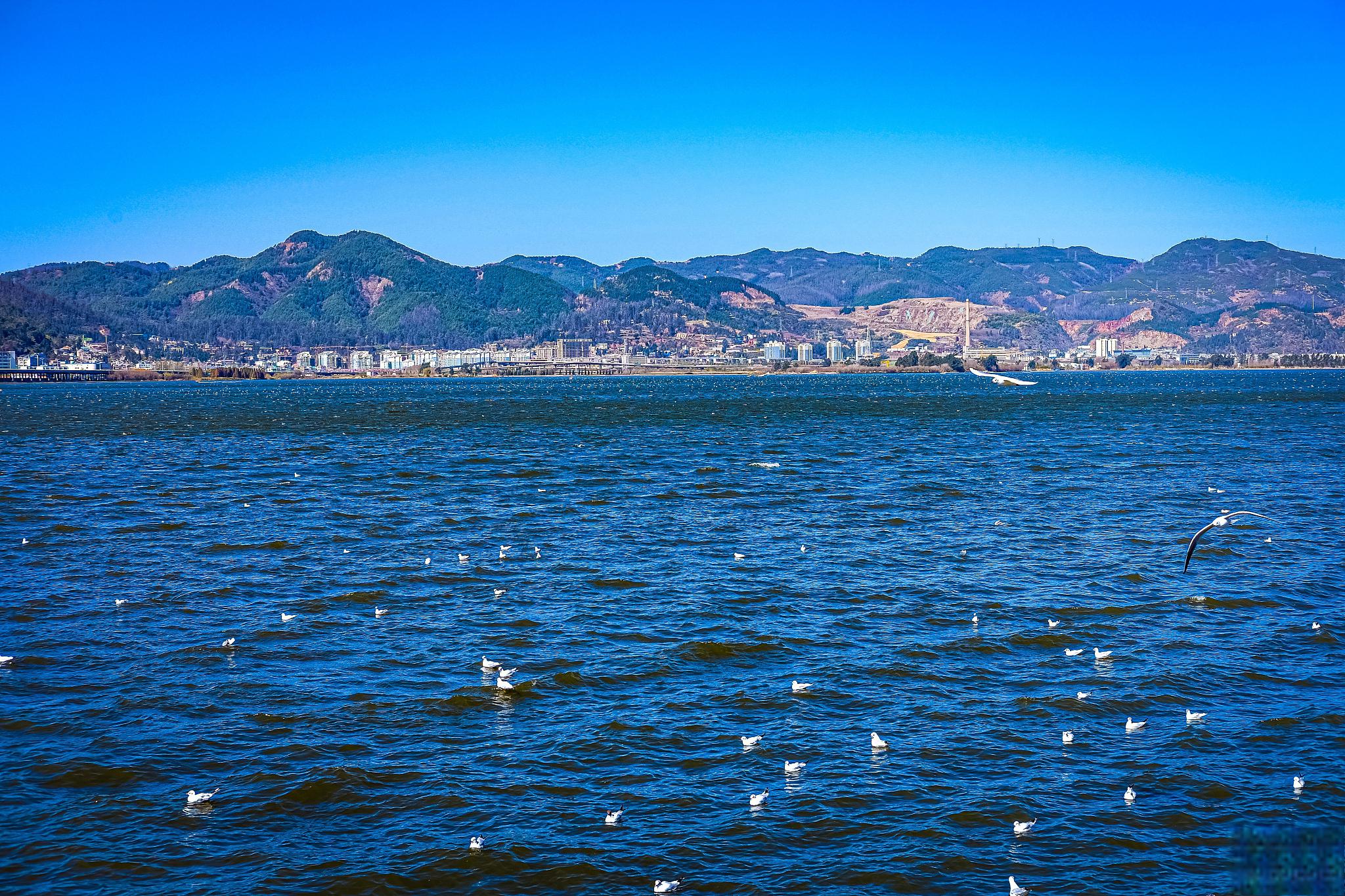 云南6天自助游攻略 云南,这个美丽多彩的省份,是许多旅游爱好者向往的