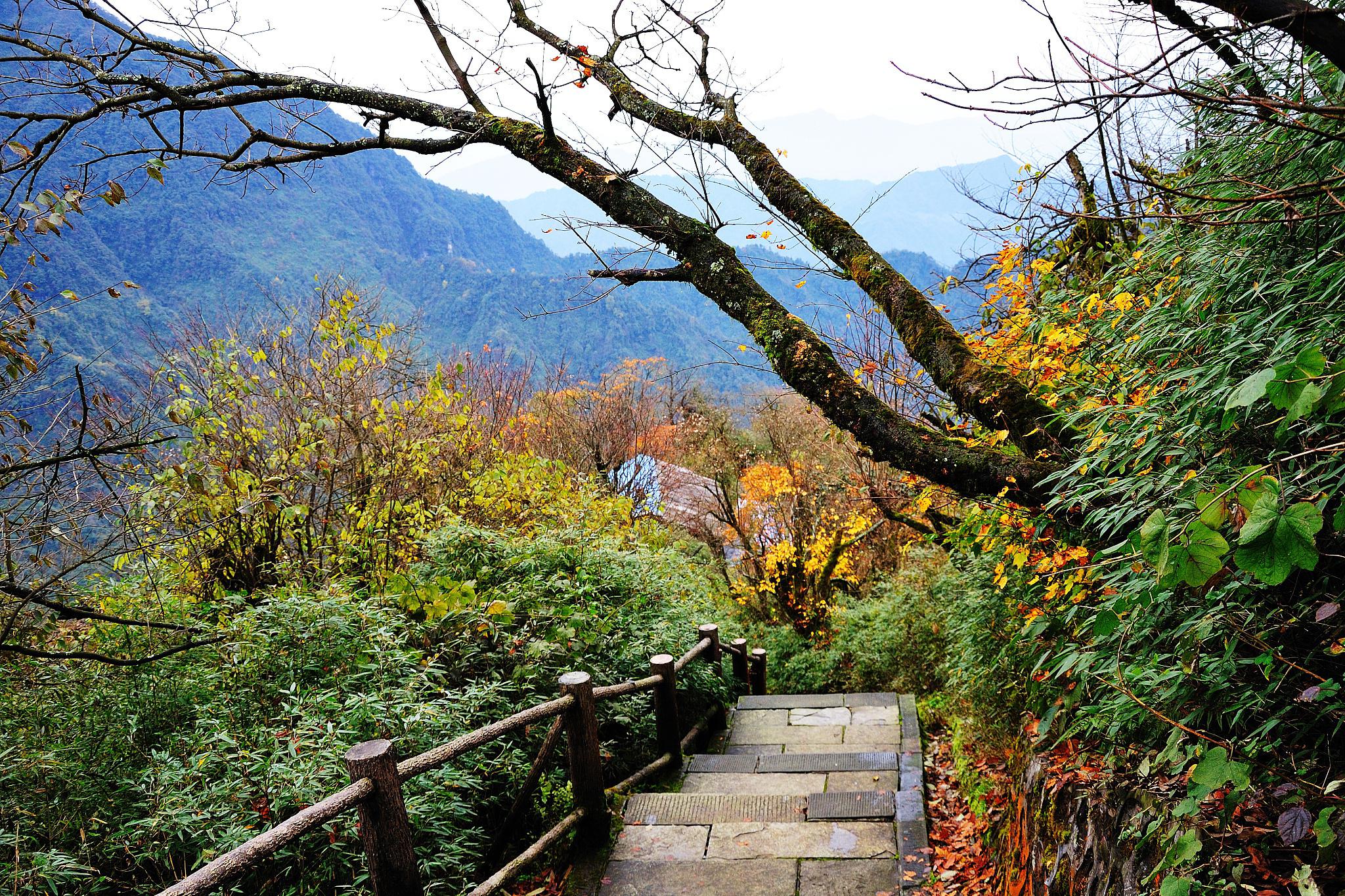 秋天的峨眉山 峨眉山位于中国四川省乐山市峨眉山市,是蜀山之王,与