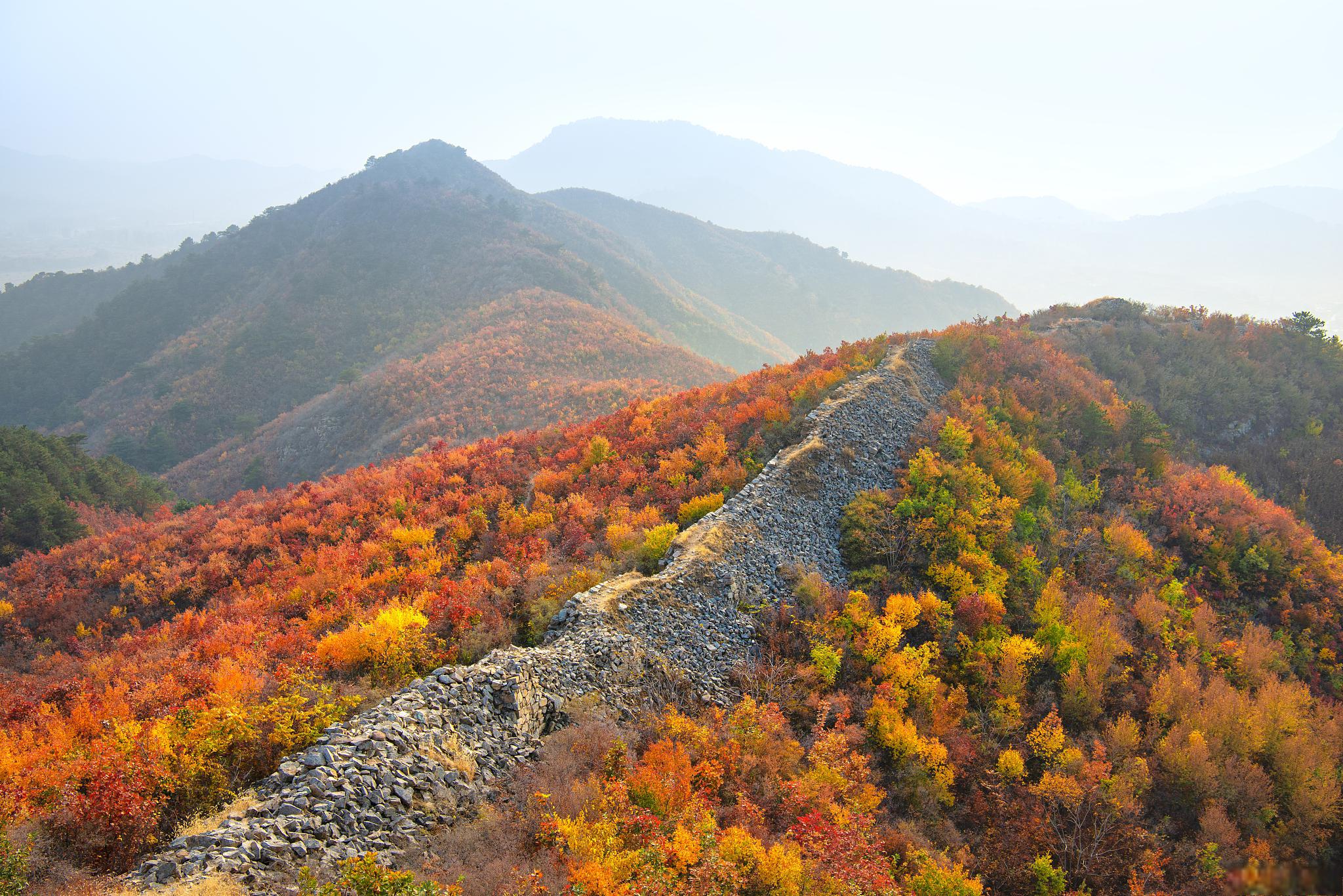 封金山风景区的秋日之美 随着秋天的到来,封金山风景区展现出了一幅