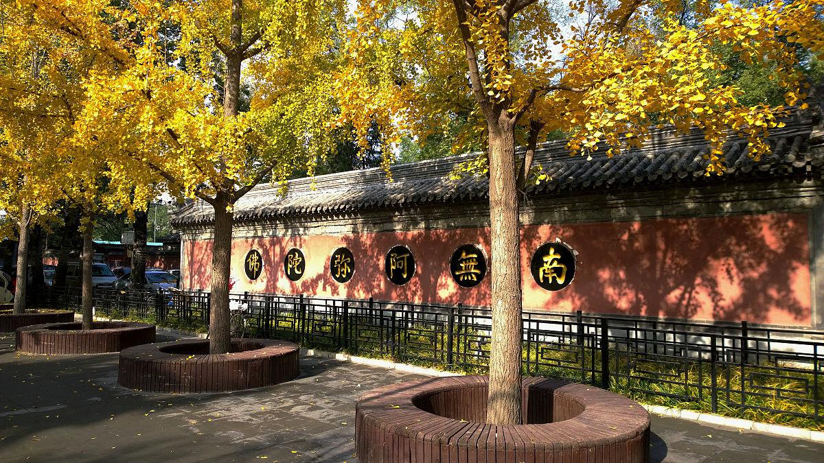 秋天的唐大慈恩寺遗址公园 漫步在秋天的唐大慈恩寺遗址公园,你会被