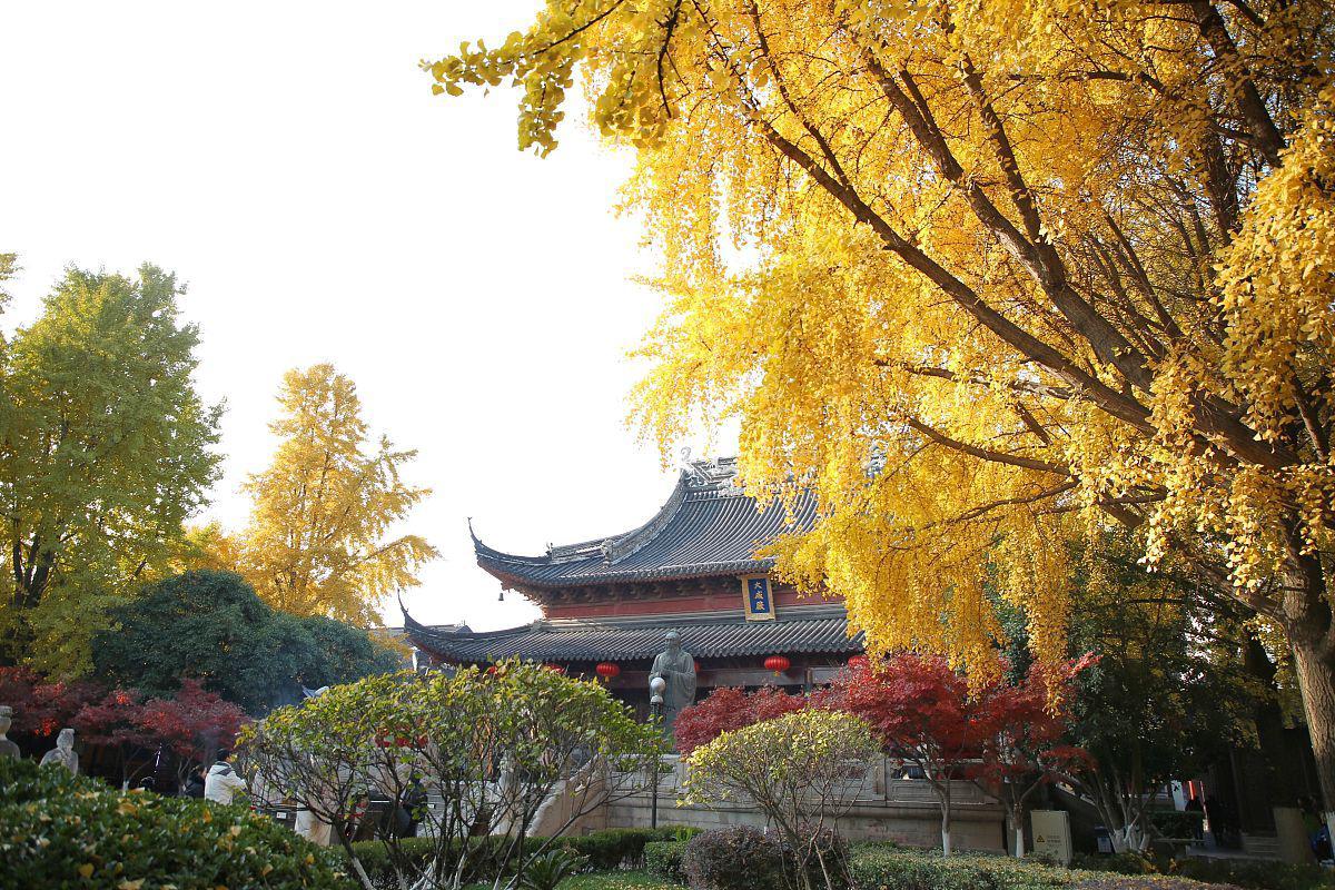 秋天的唐大慈恩寺遗址公园 漫步在秋天的唐大慈恩寺遗址公园,你会被