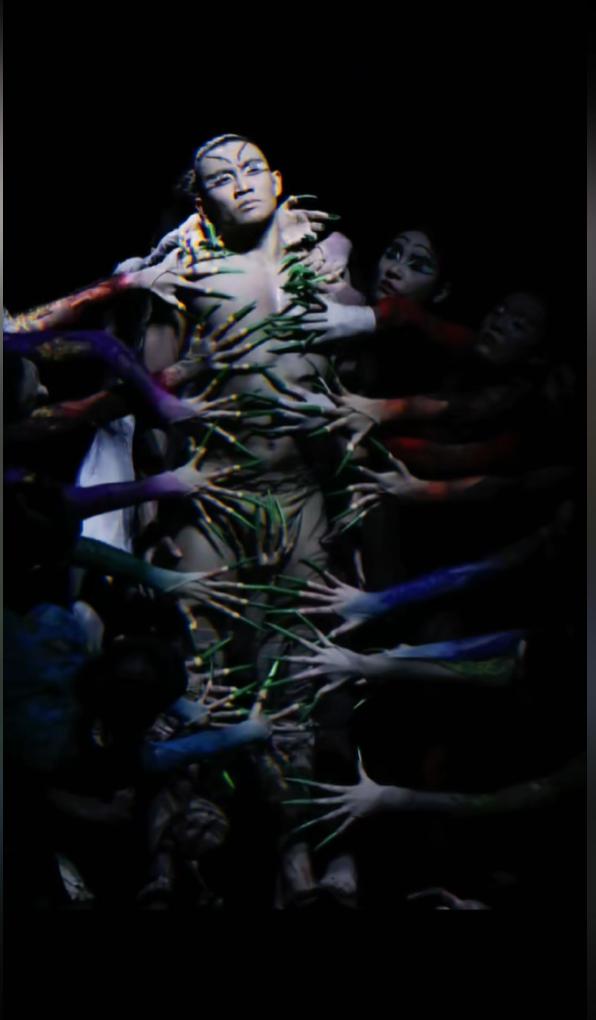 杨丽萍新舞惊艳争议 杨丽萍舞团最新演出的一支名为"阴阳双修"的舞蹈