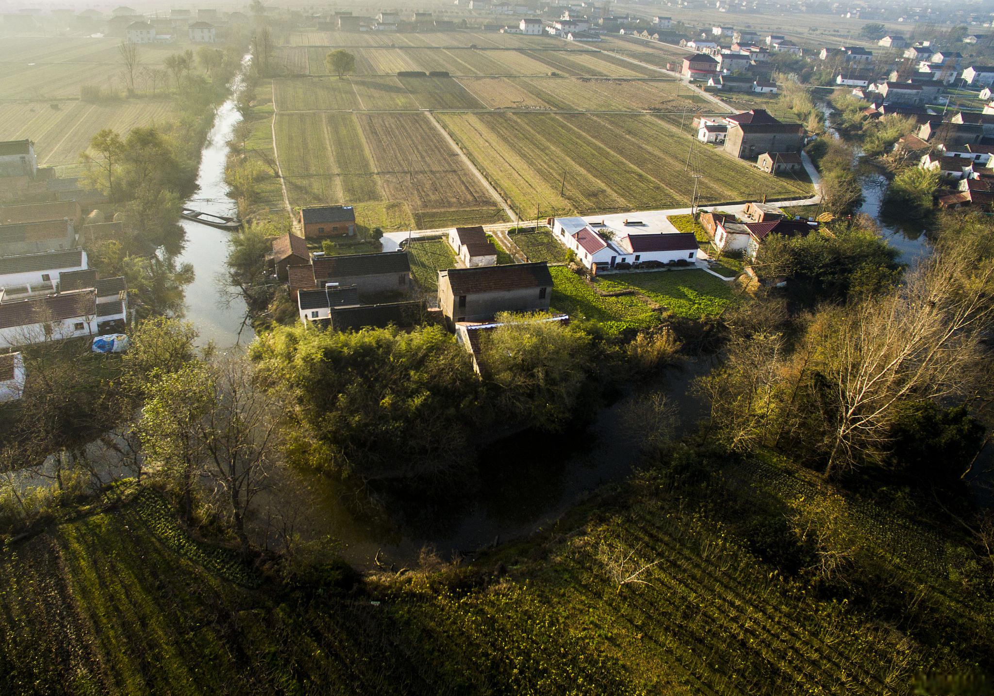 双柳树镇:探寻隐藏在都市背后的诗意田园 双柳树镇,这个充满诗意的