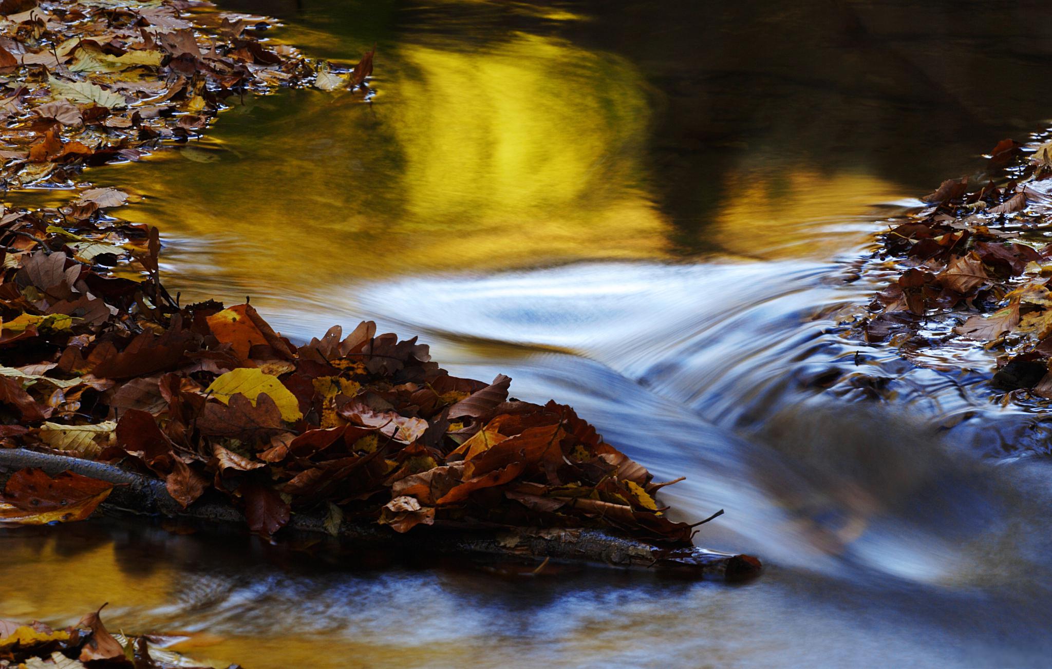 秋日环游指南 金秋最美,赏秋最佳秋天,这个季节是大自然的画师,把大地