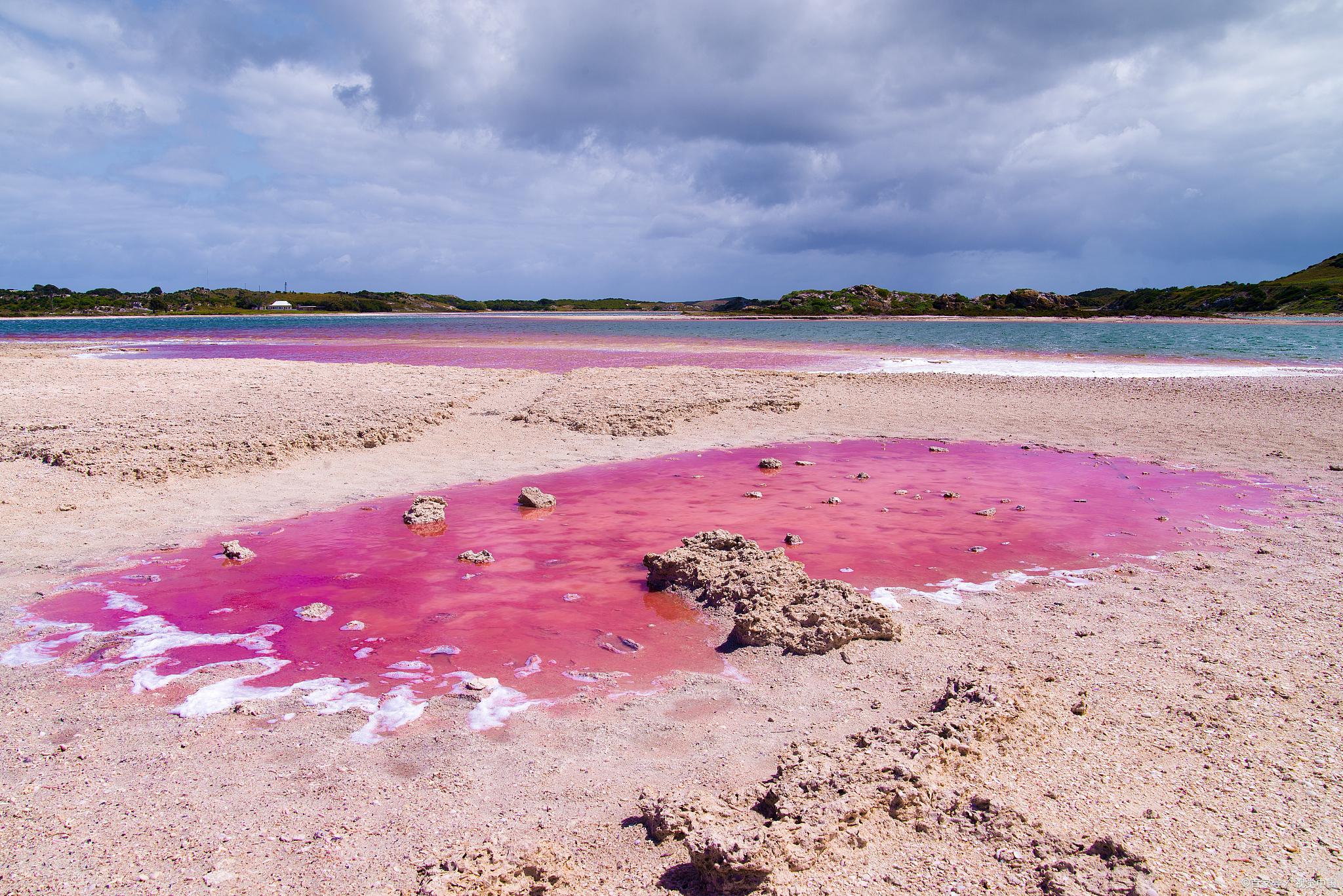 粉色沙滩:美丽与浪漫的完美结合 在一个晴朗的夏日,我漫步在一片如诗