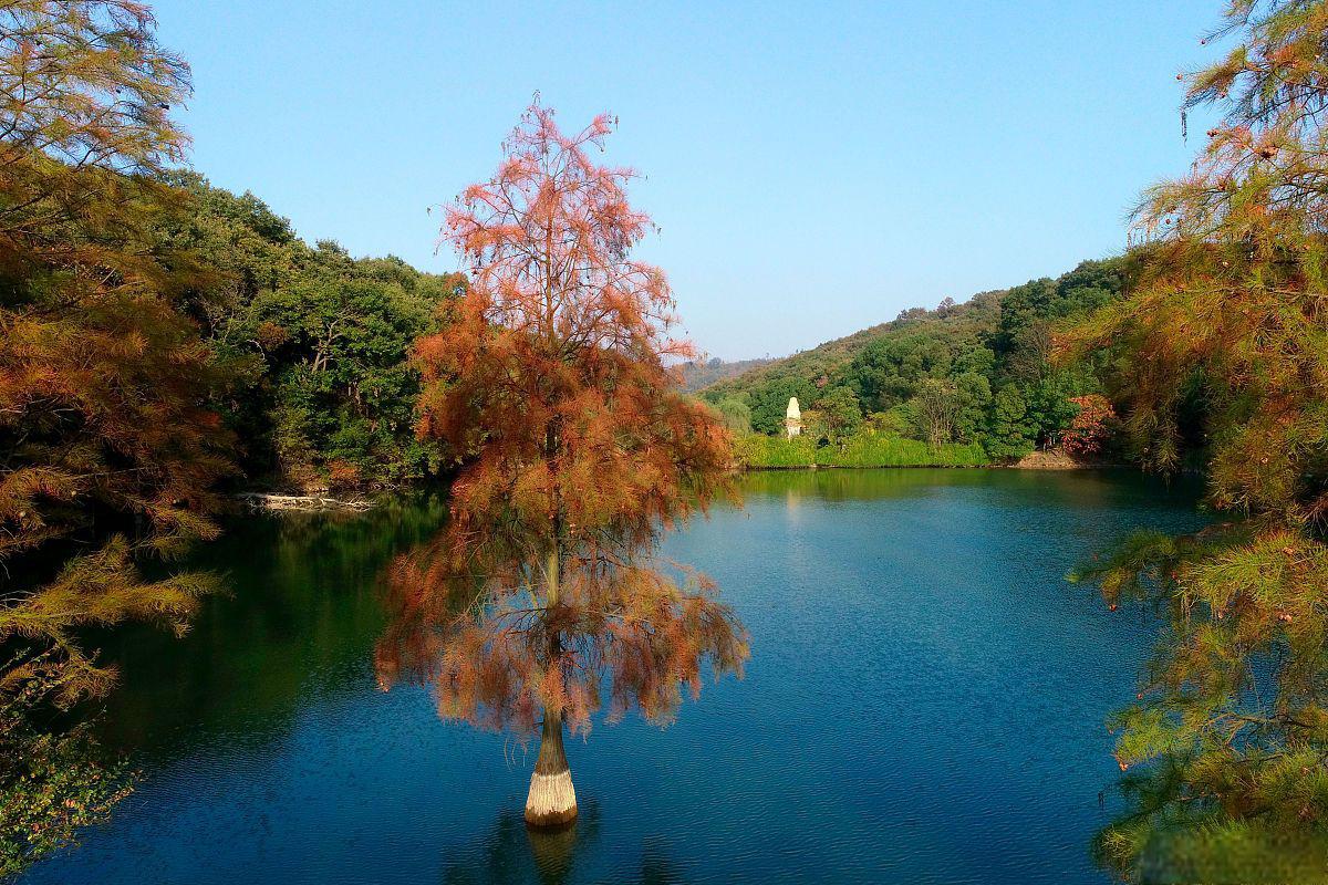 中山免费旅游景点大全图片