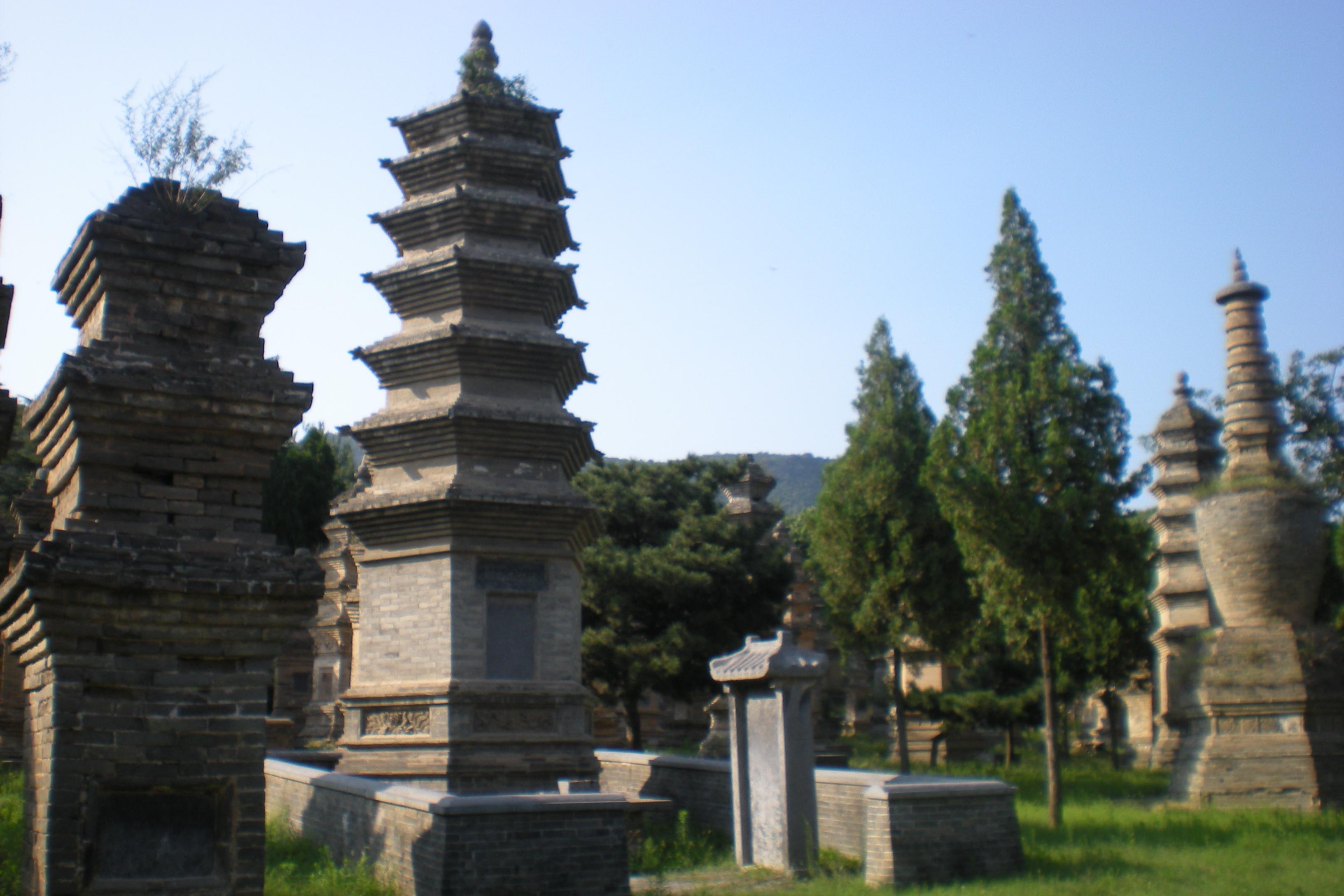 少林寺塔林,中国古塔艺术博物馆 少林寺塔林,位于河南省郑州市登封市